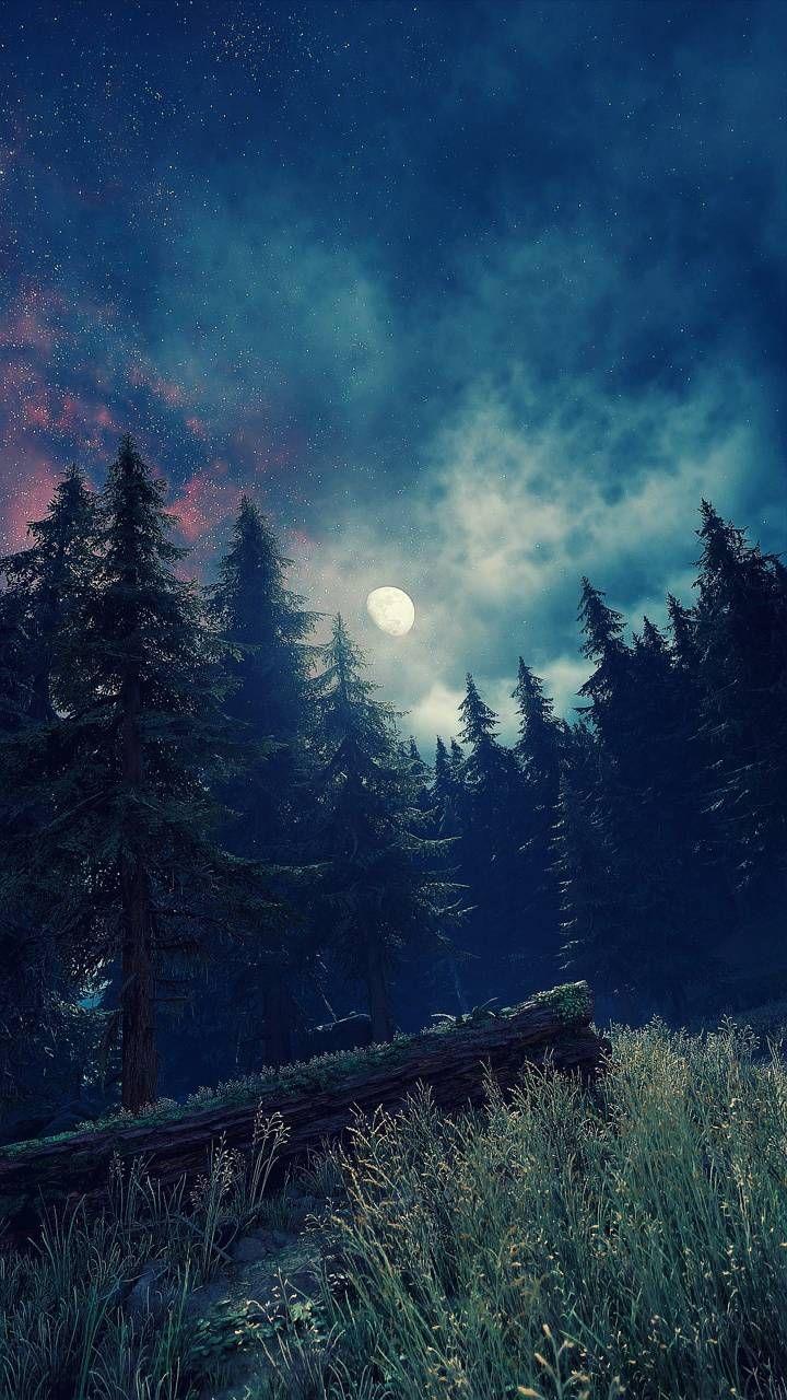 Forest Moon Wallpapers - Top Free Forest Moon Backgrounds - WallpaperAccess