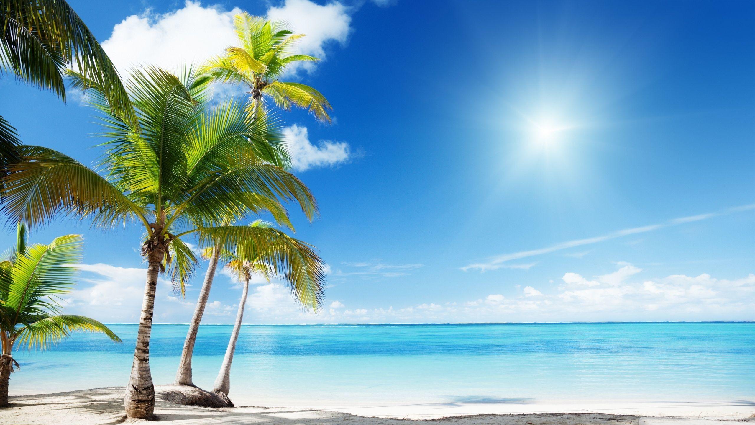 2560x1440 Paradise Beach Wallpaper