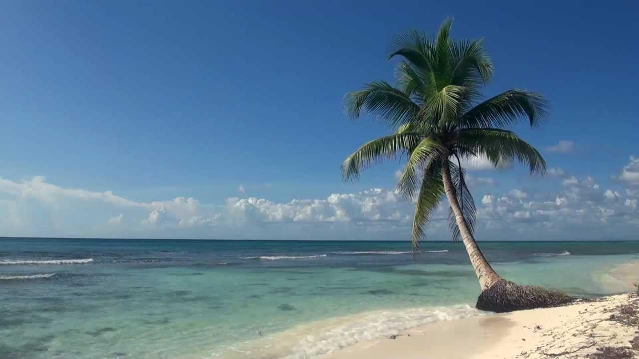 1280x720 Relaxing 3 Hour Video of A Tropical Beach with Blue Sky White Sand