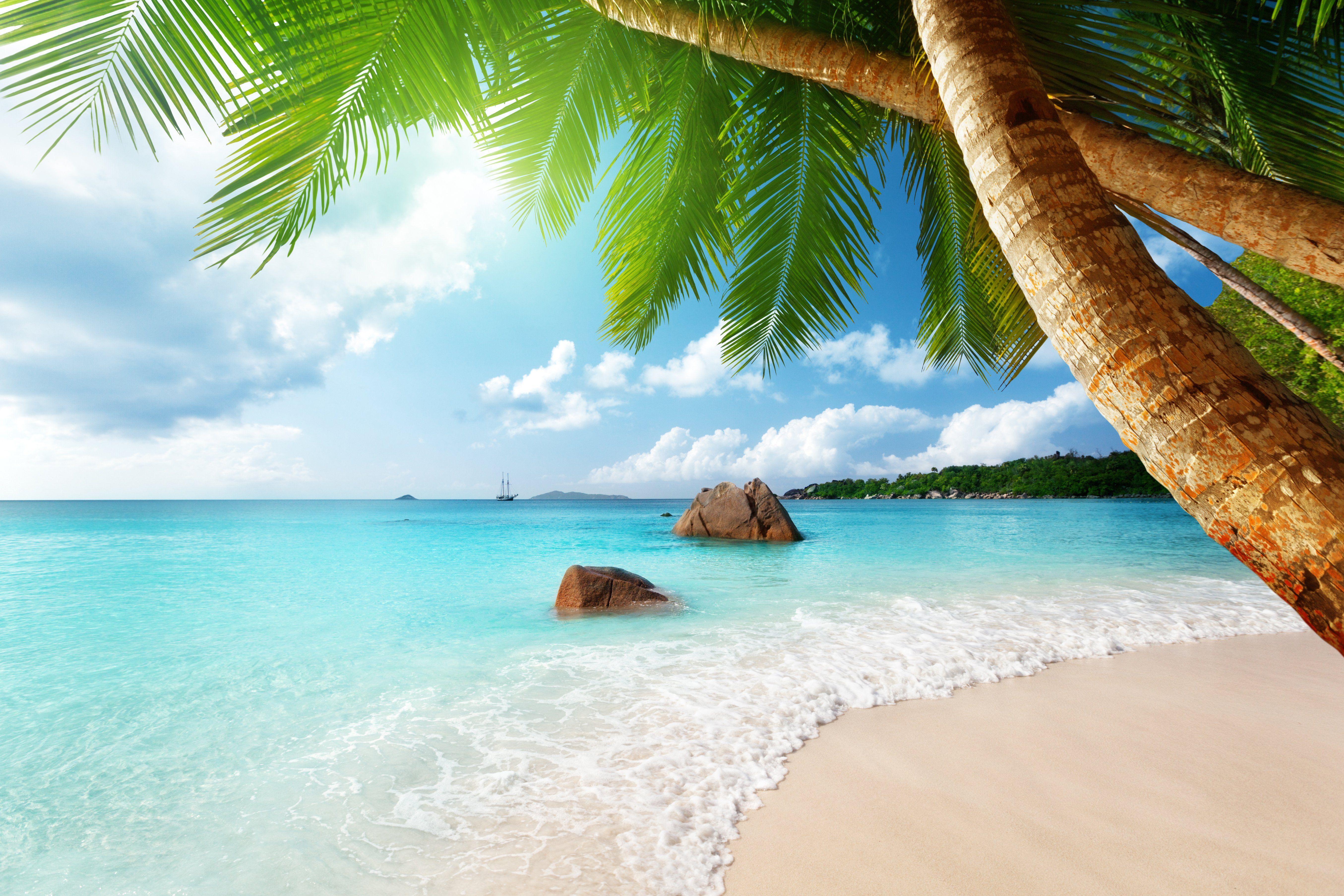 5420x3613 paradise, Ocean, Tropical, Blue, Palm, Beach, Coast, Sea, Emerald Wallpaper HD / Desktop and Mobile Background
