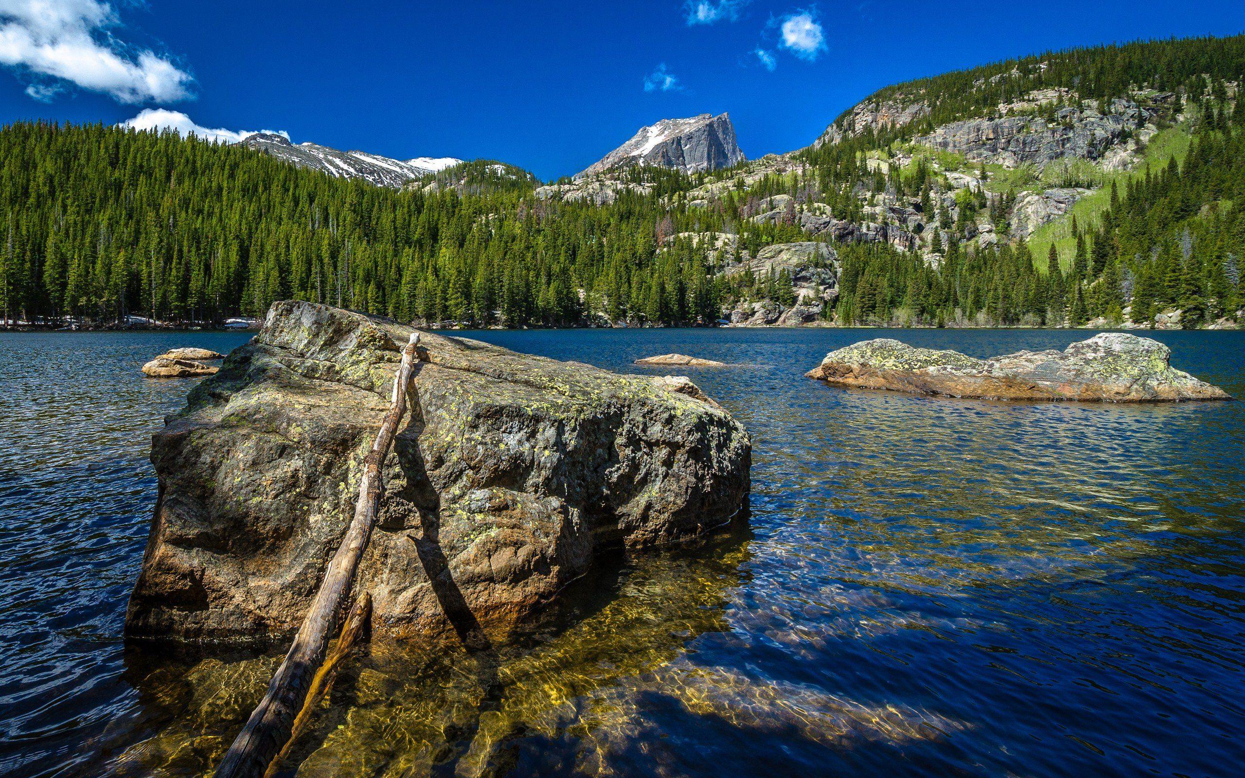 2560x1600 Water mountains nature wood forests wildlife rocks cliffs lakes