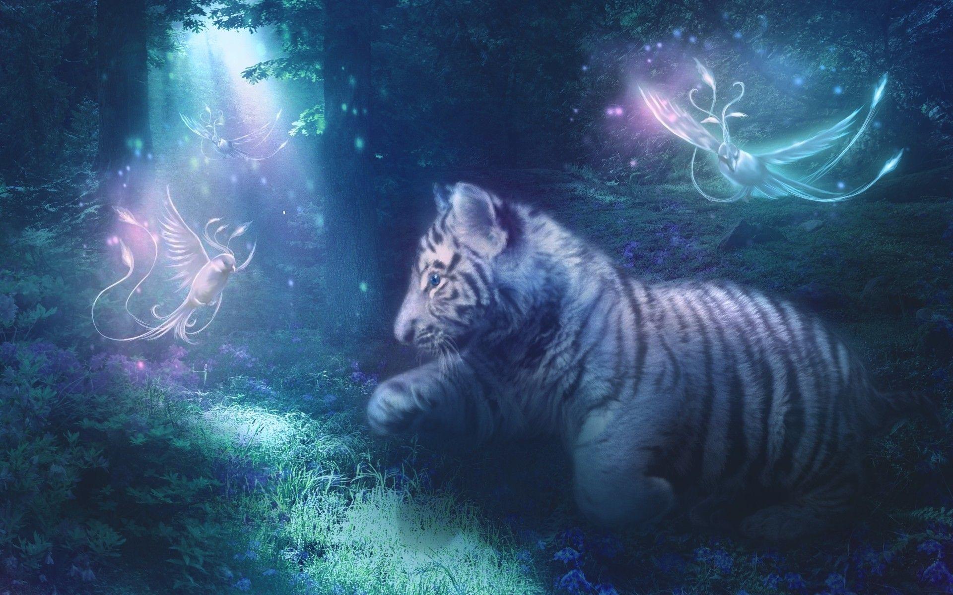 1920x1200 Cute Tiger Wallpaper