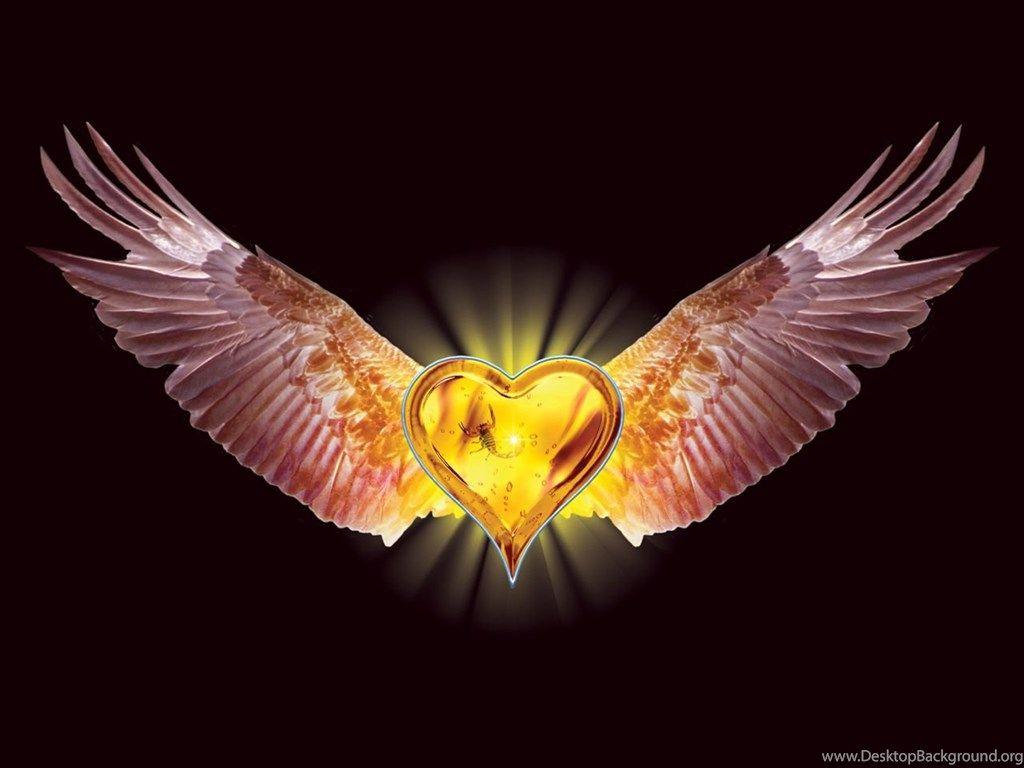 1024x768 Free Desktop Wallpaper, Stratovarius Eagle Heart Wings Valentine