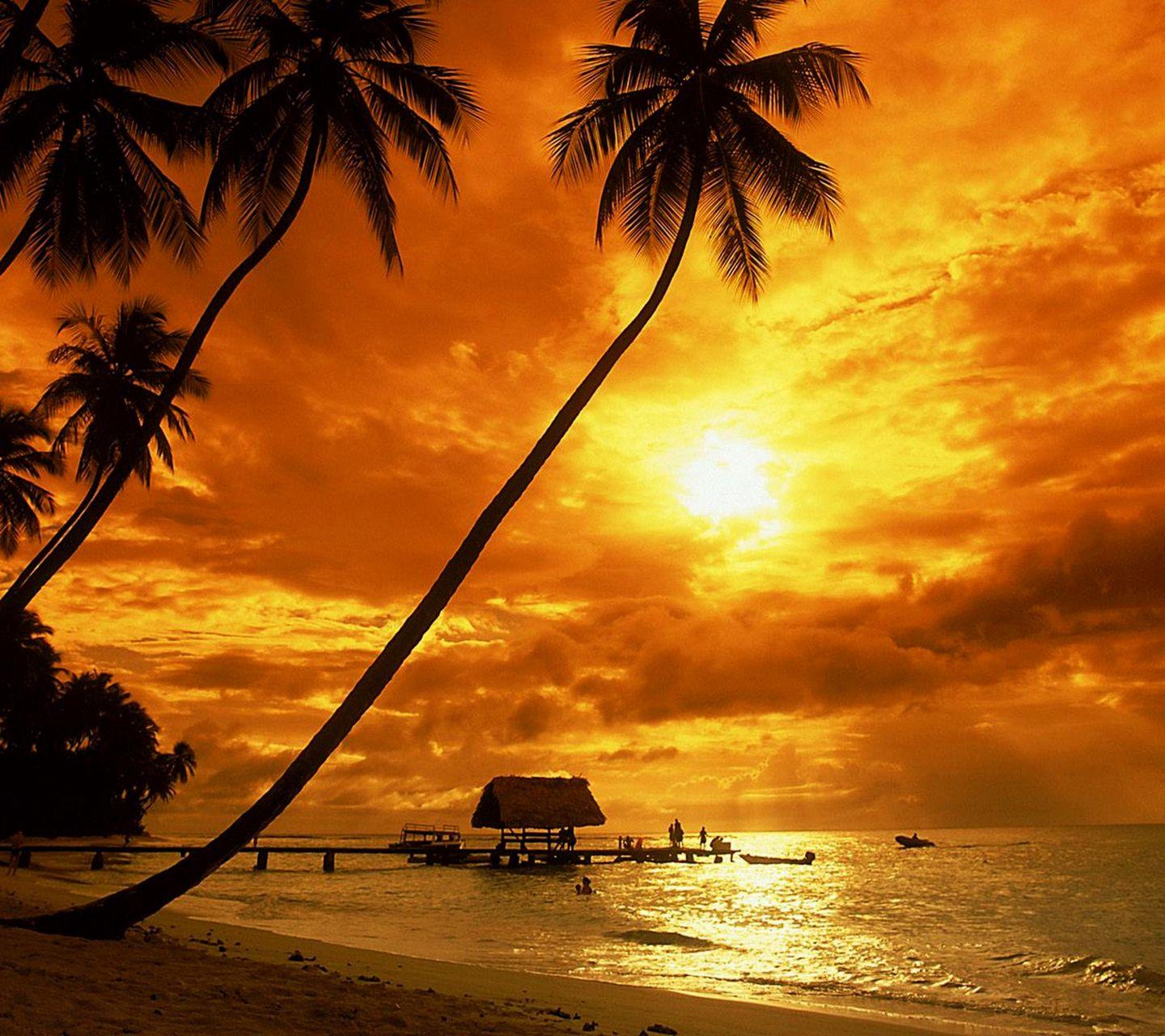 Caribbean Sunset Wallpapers Top Free Caribbean Sunset Backgrounds Wallpaperaccess