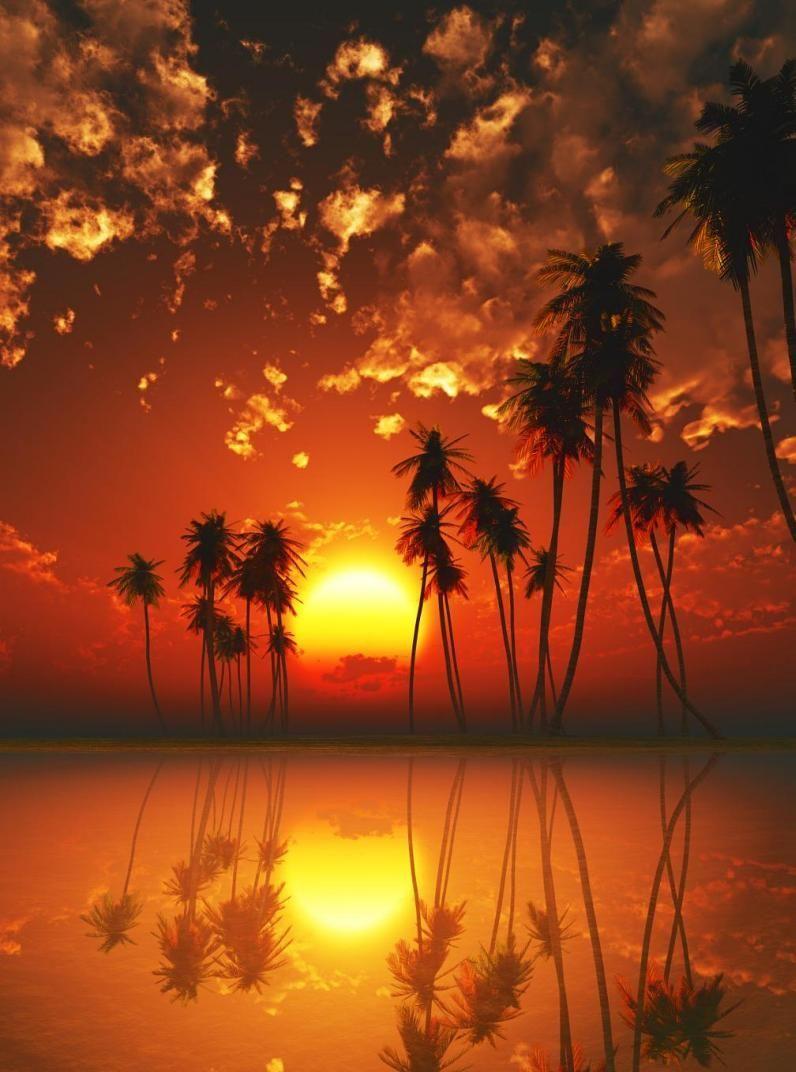 796x1072 Red tropical sunset (Caribbean Islands)