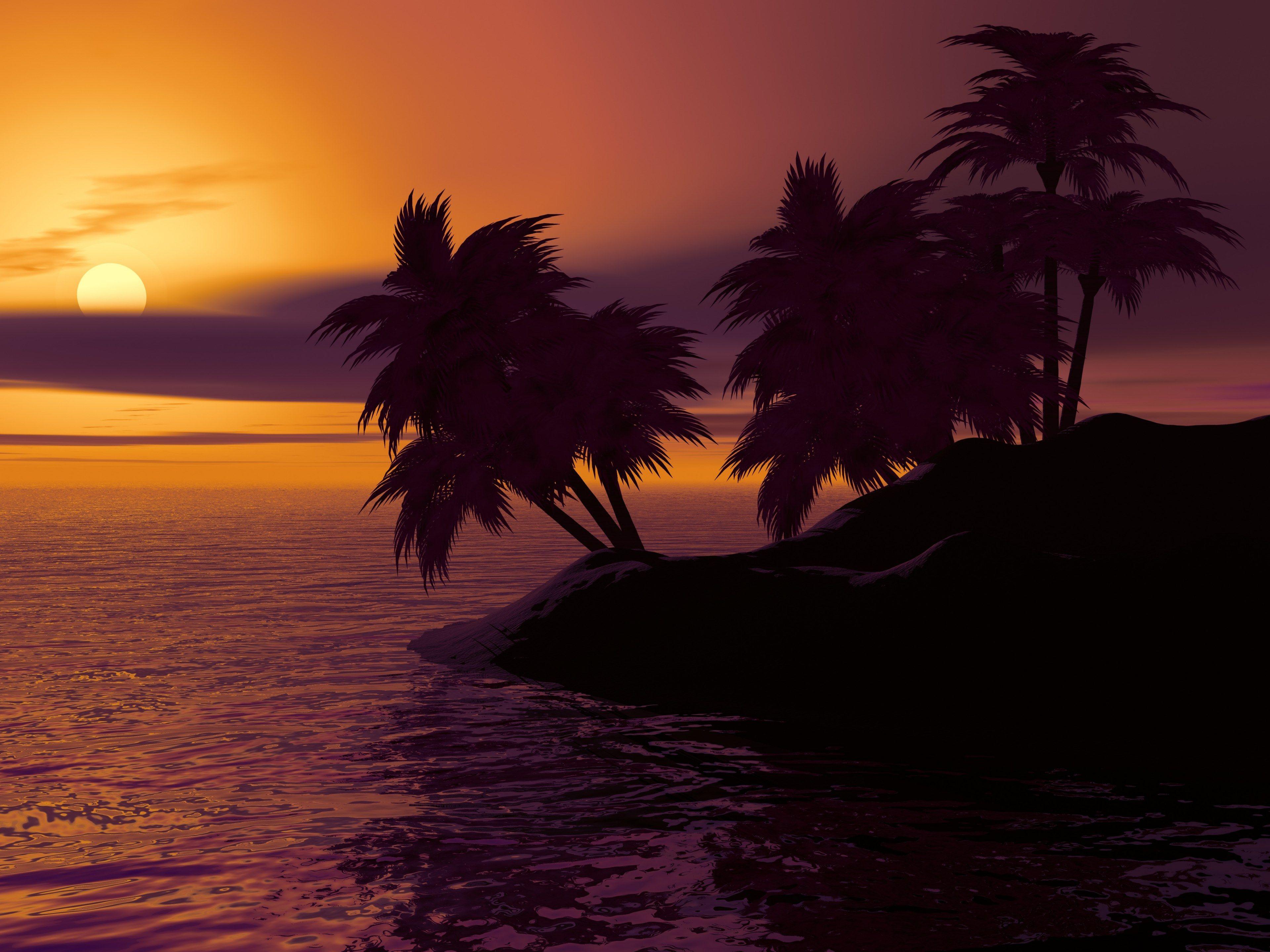 3840x2880 island #palm #sunset #sunrise #caribbean #summer #sky 4k wallpaper