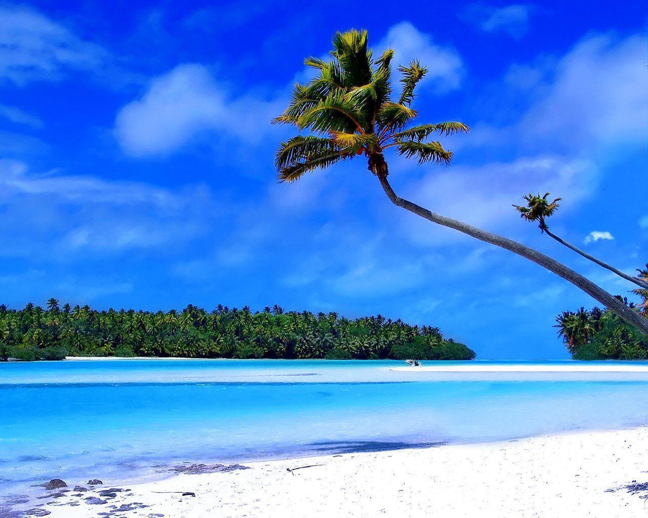 1280x1024 Free Caribbean Beach Wallpaper