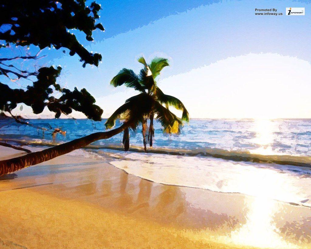 1024x819 HD wallpaper summer palm beach sunset. HD wallpaper summe