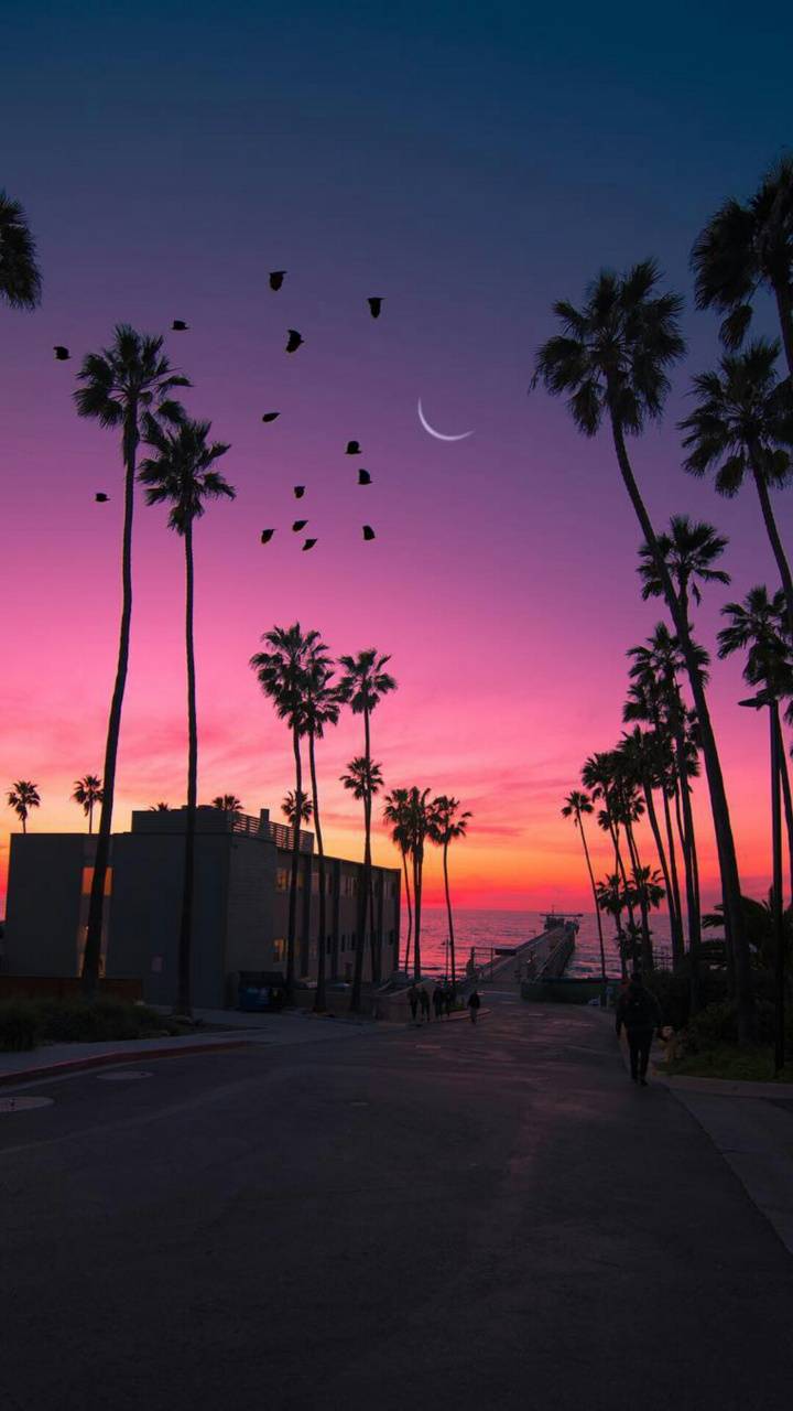 720x1280 Sunset beach wallpaper