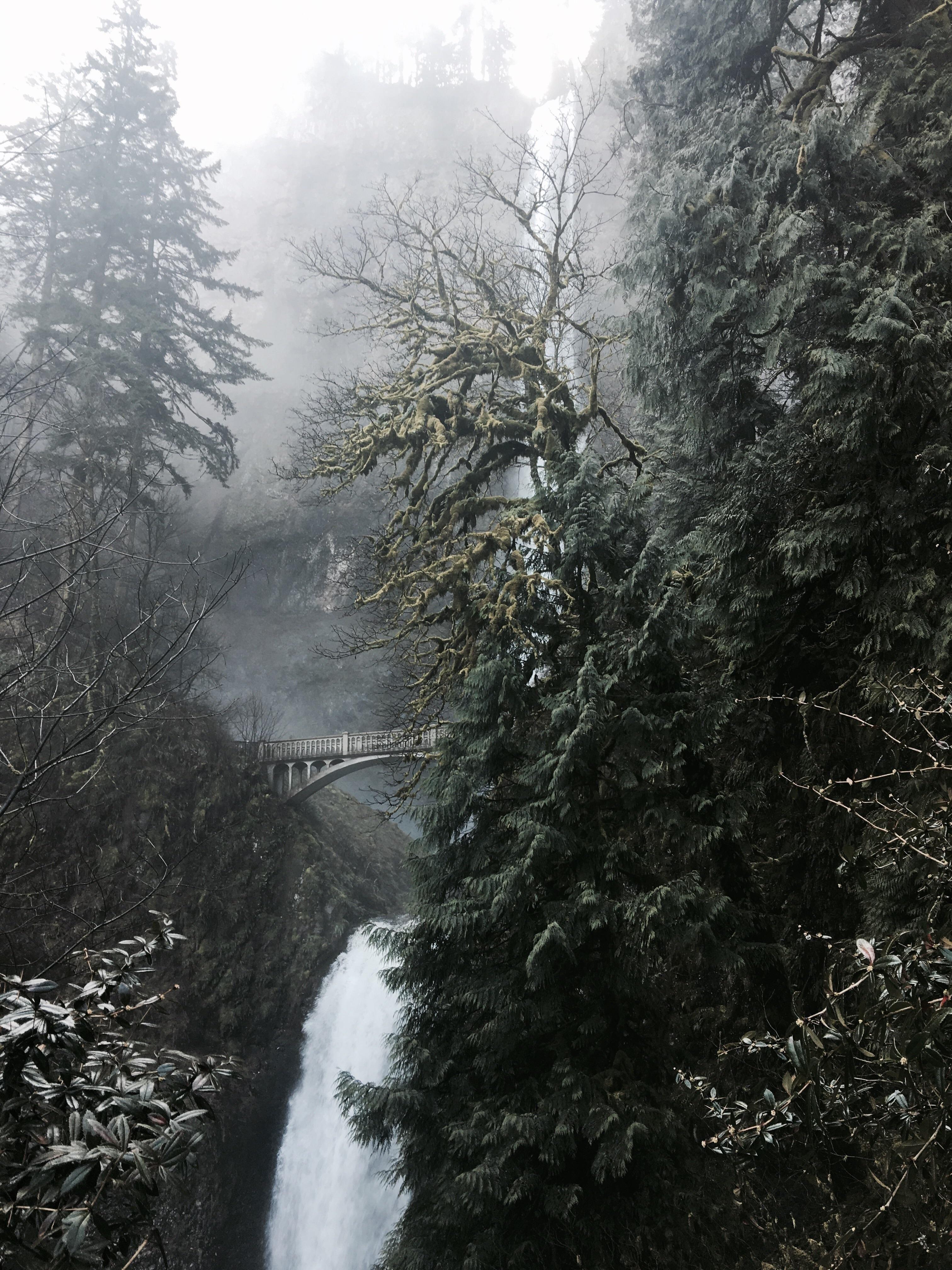3024x4032 Awesome Capture of The Iconic Multnomah Falls of Columbia River