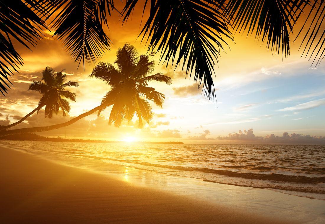 1100x759 Beach Caribbean Sunset Wallpaper NA_1865