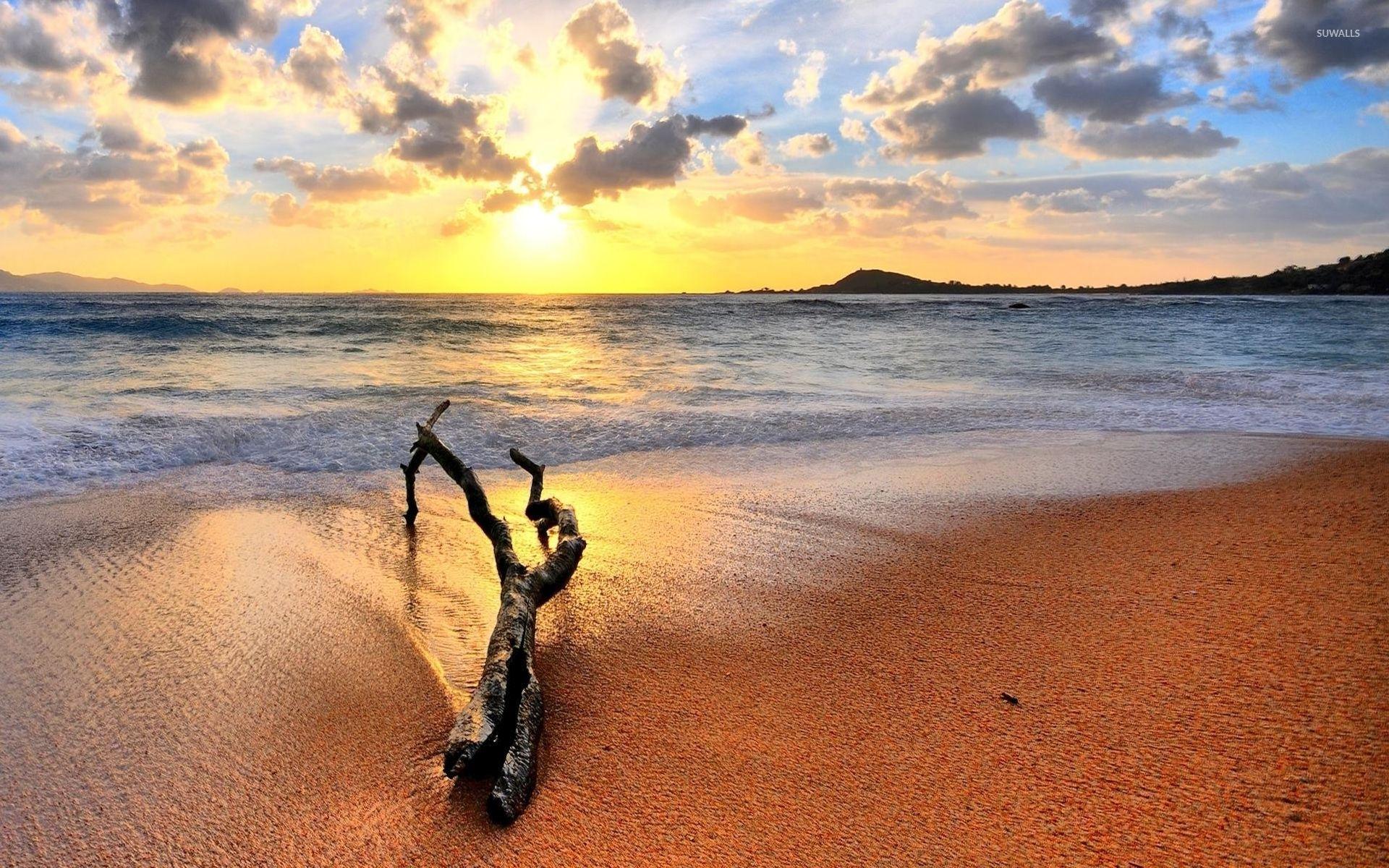 1920x1200 Tree log on a sunset beach wallpaper wallpaper