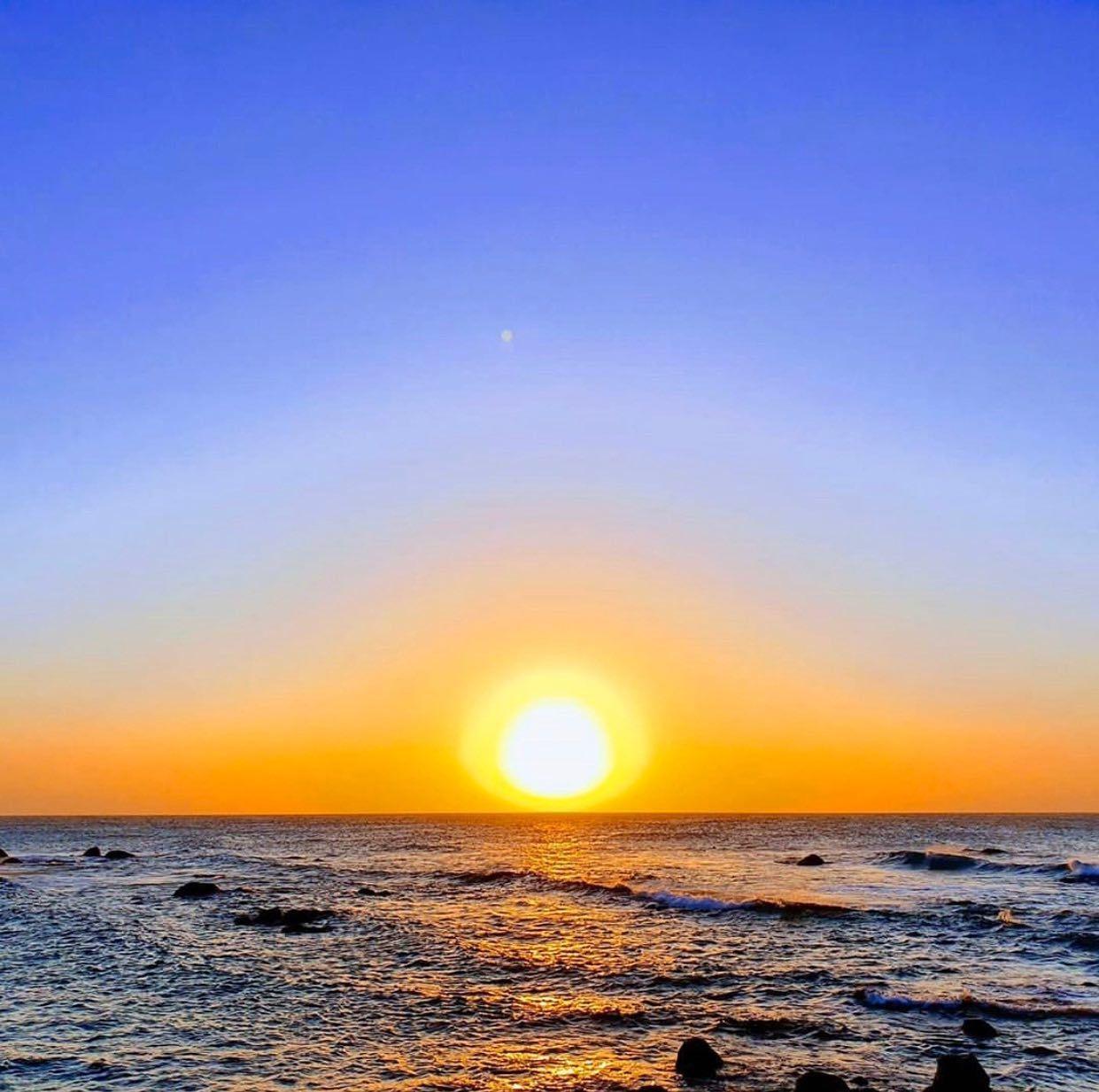 1241x1233 ARUBA