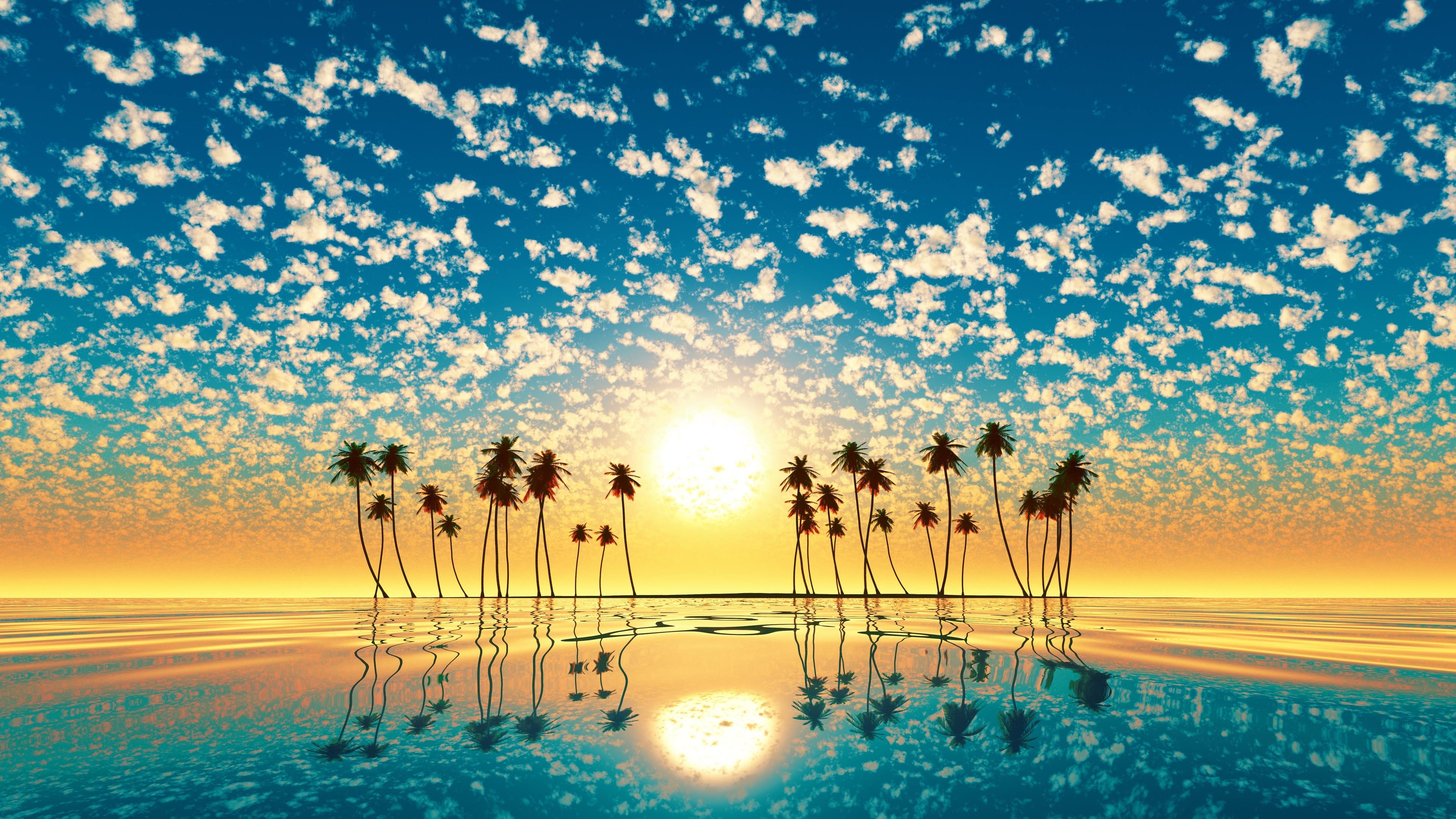 Palm Tree Sunset Wallpapers Top Free Palm Tree Sunset Backgrounds Wallpaperaccess 6769