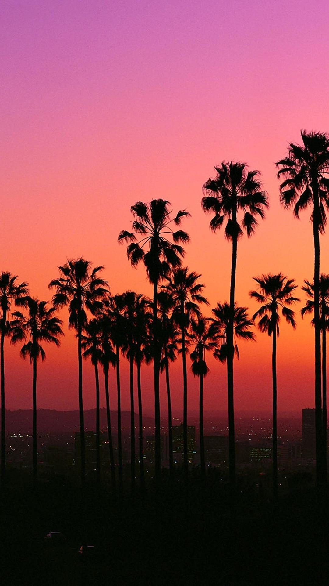 1080x1920 Los Angeles sunset with palm trees