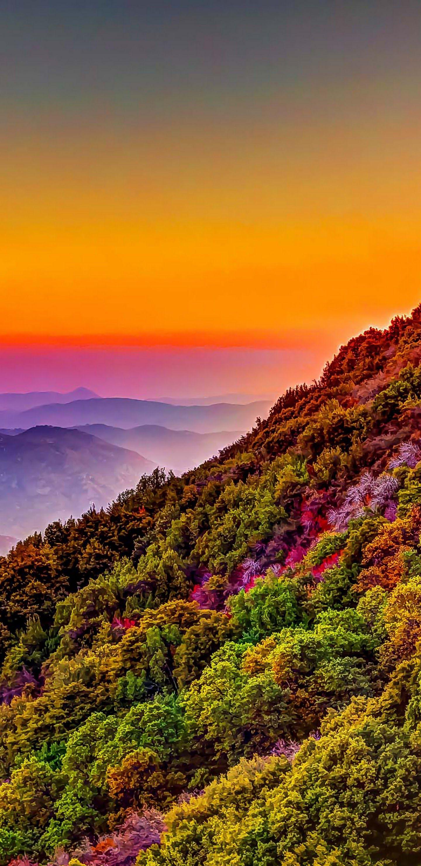 1440x2960 Mountain Colorful Forest Nature Sunset Scenery 4K Wallpaper