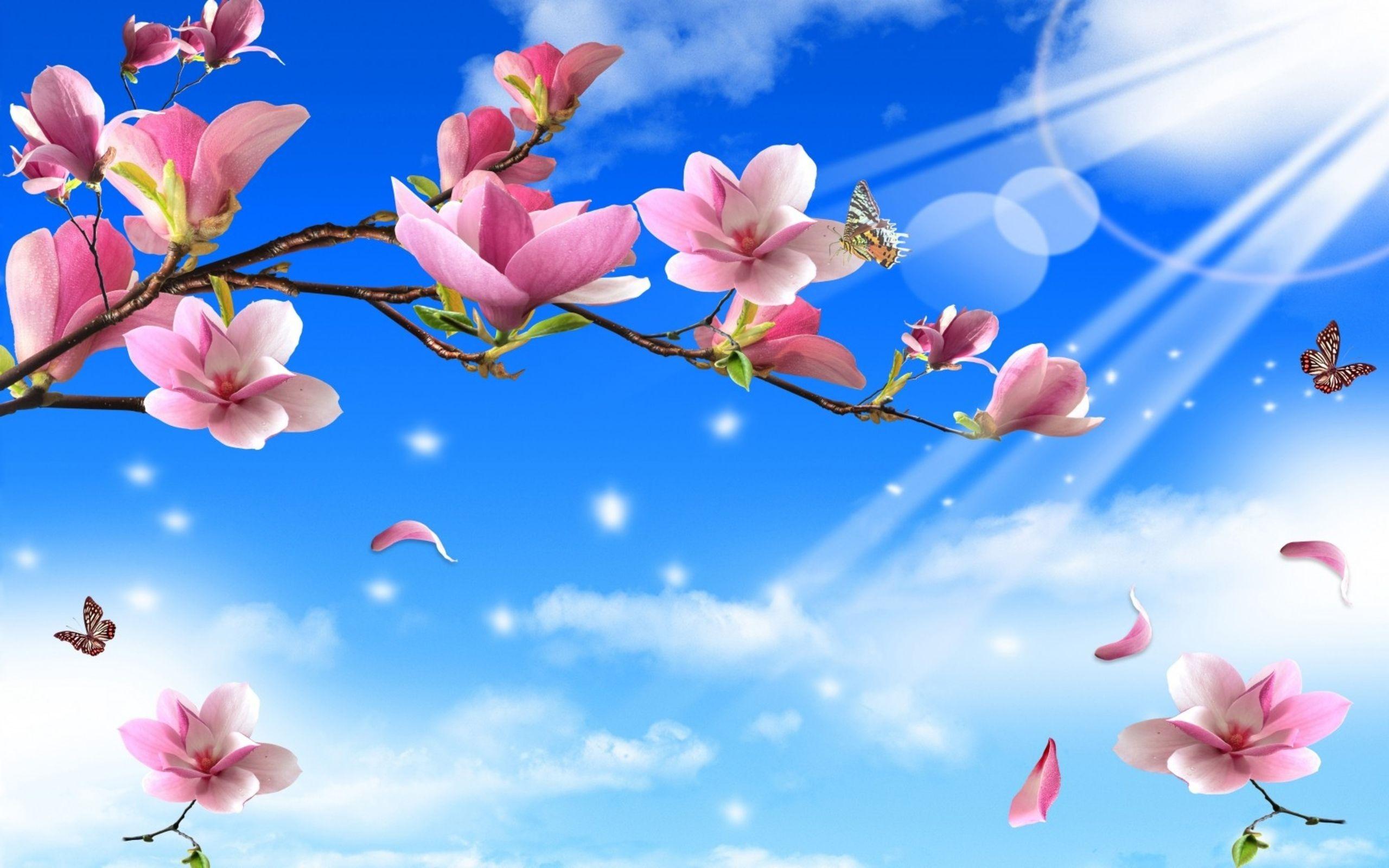 2560x1600 Flowers butterflies nature twigs butterfly wallpaperx1600