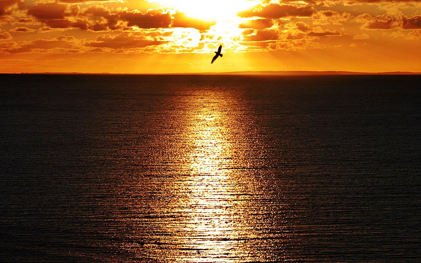 1680x1050 Download Sunsets Wallpaper Image for Free