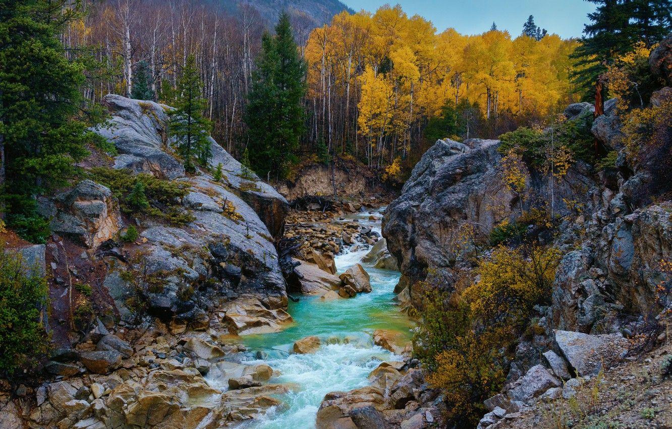 1332x850 Wallpaper autumn, trees, river, stones, rocks, Colorado, Colorado, Rocky mountains, Rocky Mountains, Independence Pass, Independence Pass image for desktop, section пейзажи