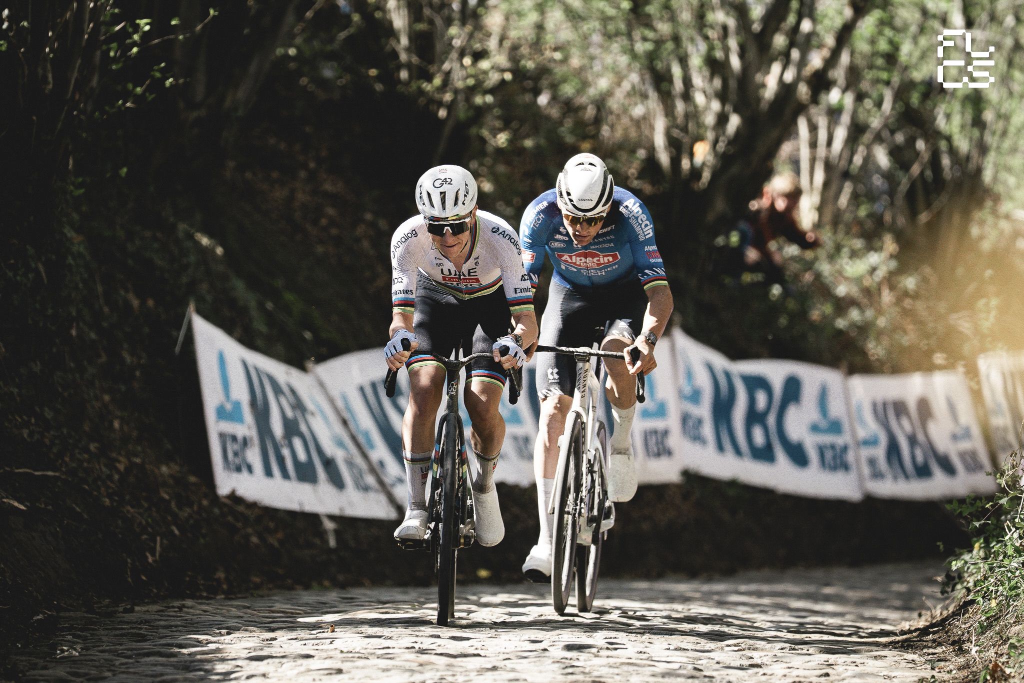2048x1365 Tour of Flanders: De Koning van Vlaanderen