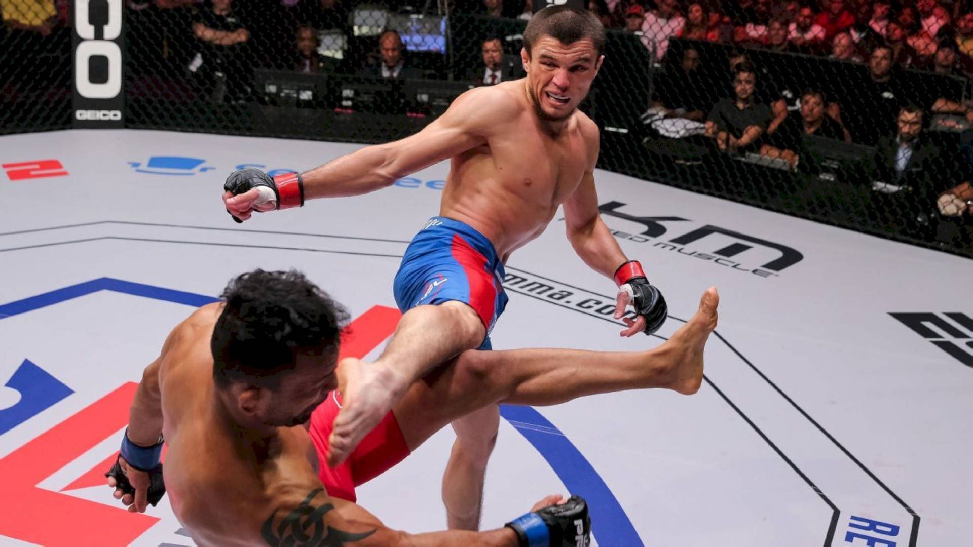 1920x1080 Sfondi Umar Nurmagomedov