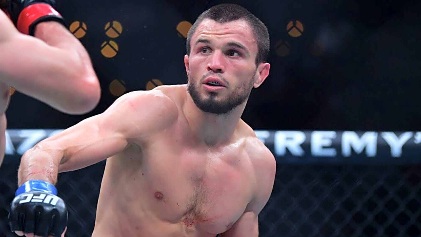 1600x900 Umar Nurmagomedov Reveals The One Fight He Wants More Than The UFC Bantamweight Title