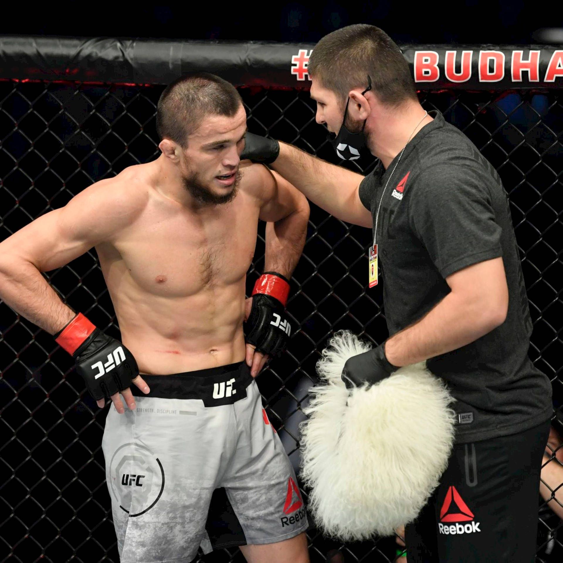 1920x1920 Umar Nurmagomedov Wallpaper