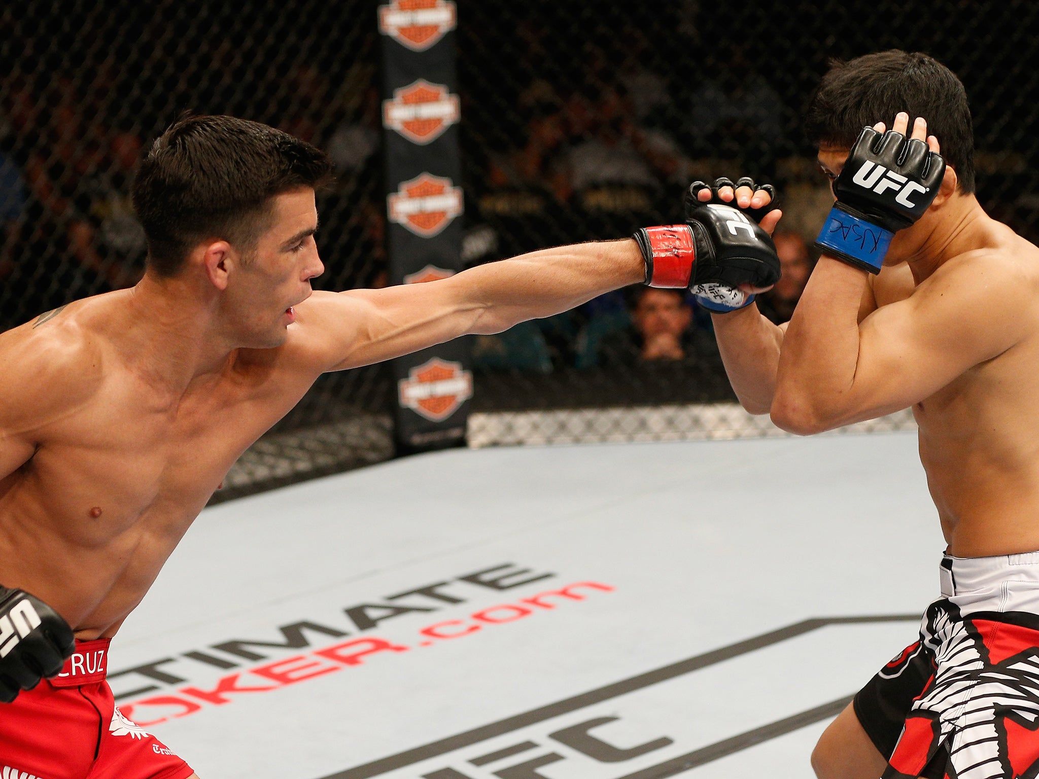 2048x1536 UFC Fight Night: Dan Hardy previews TJ Dillashaw vs Dominick Cruz