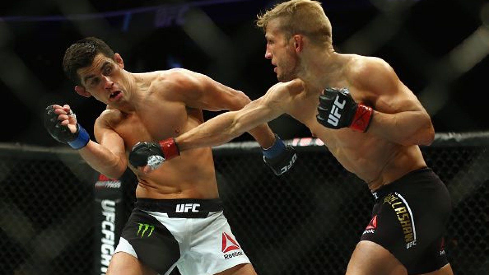1600x900 If Demetrious Johnson Can't Fight, TJ Dillashaw's Coach Wants Dominick Cruz Rematch