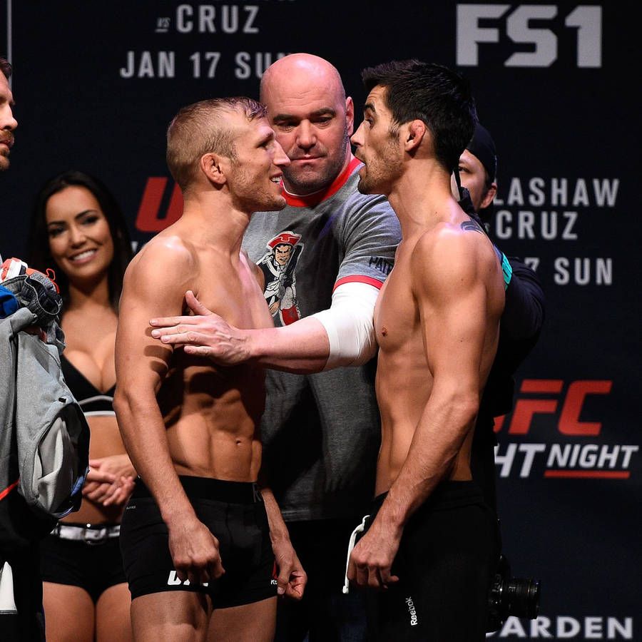 900x900 Dominick Cruz And T.j Dillashaw Wallpaper