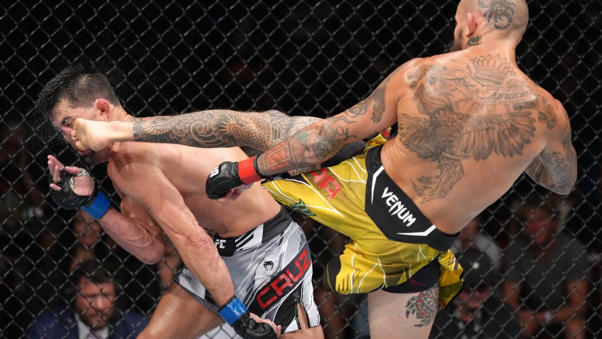 1920x1080 Slo Mo Footage Shows The Exact Moment Dominick Cruz's Nose Breaks As He Suffers Faceplant KO Loss After Marlon Vera Head Kick At UFC San Diego