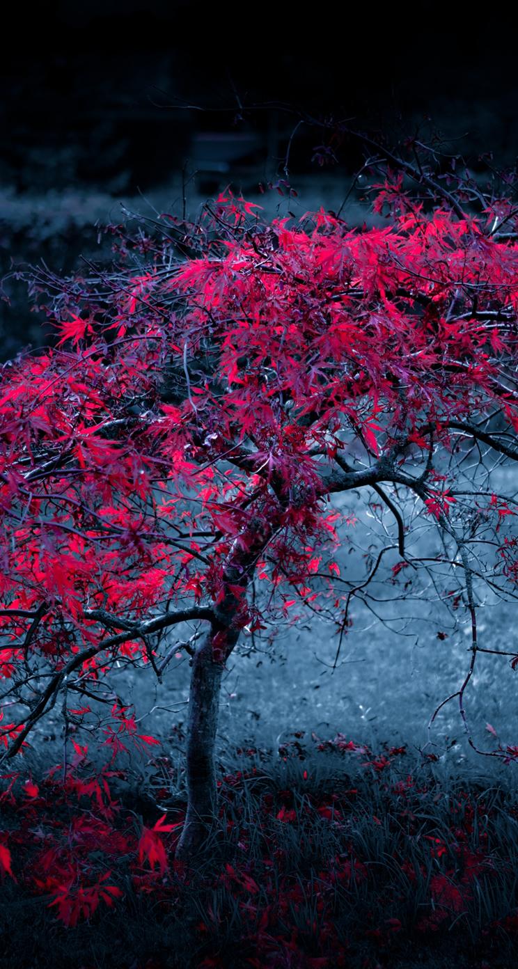 744x1392 Realme Mobile UHD Wallpaper