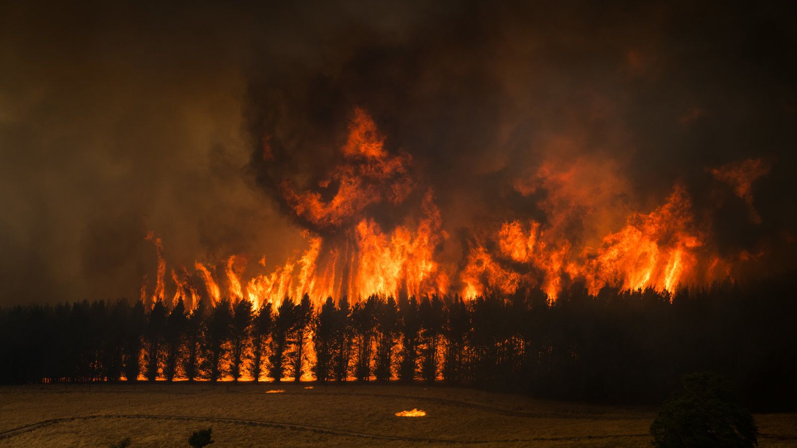 1600x900 The Australia Wildfires in Picture