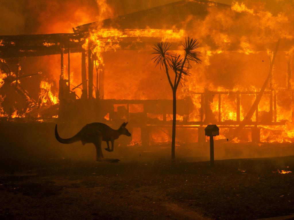 1024x768 Australian bushfire crisis best photo. news.com.au