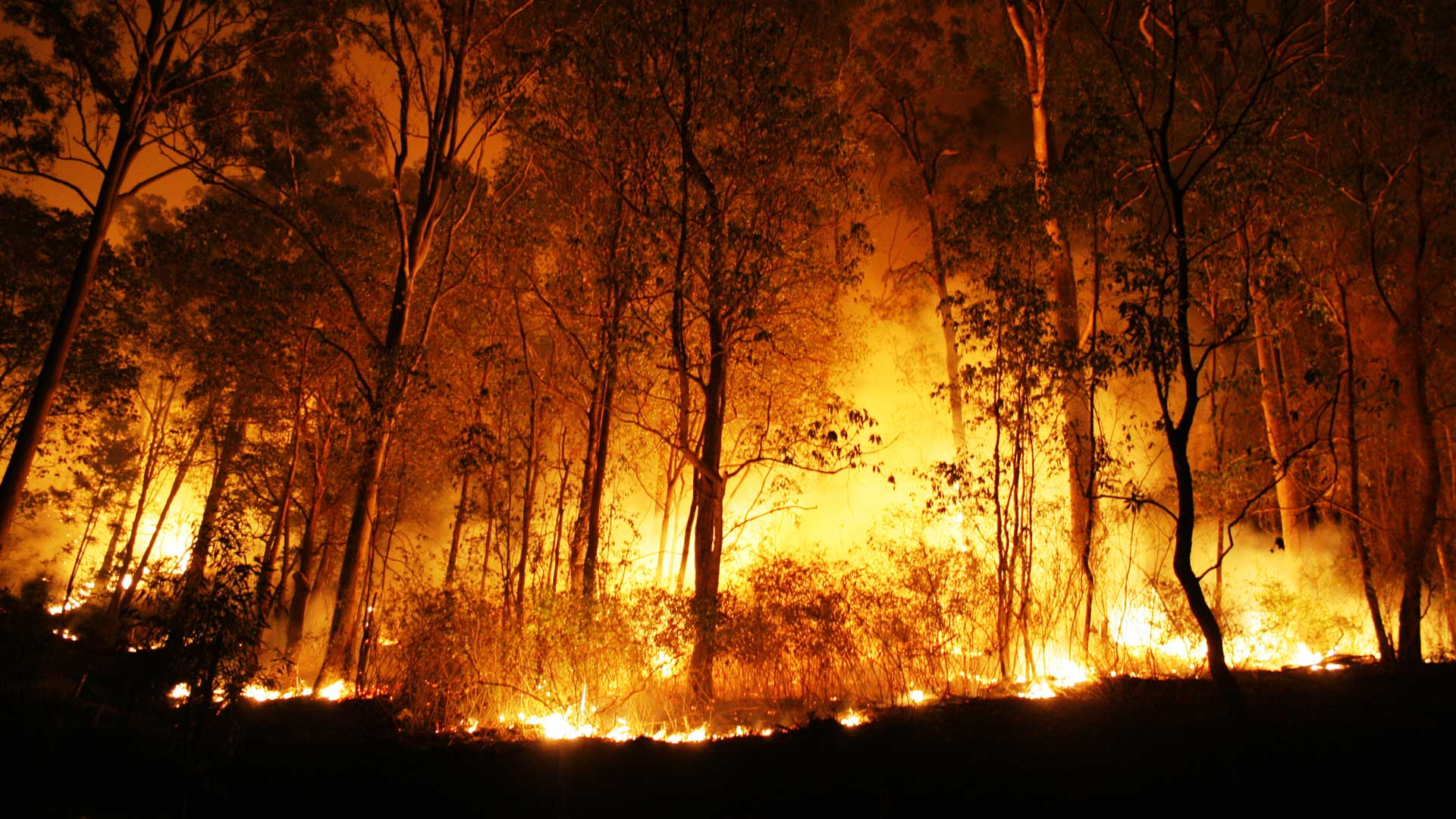 1920x1080 Bushfire Screens. Bushfire Rated Roller & Window Shutters