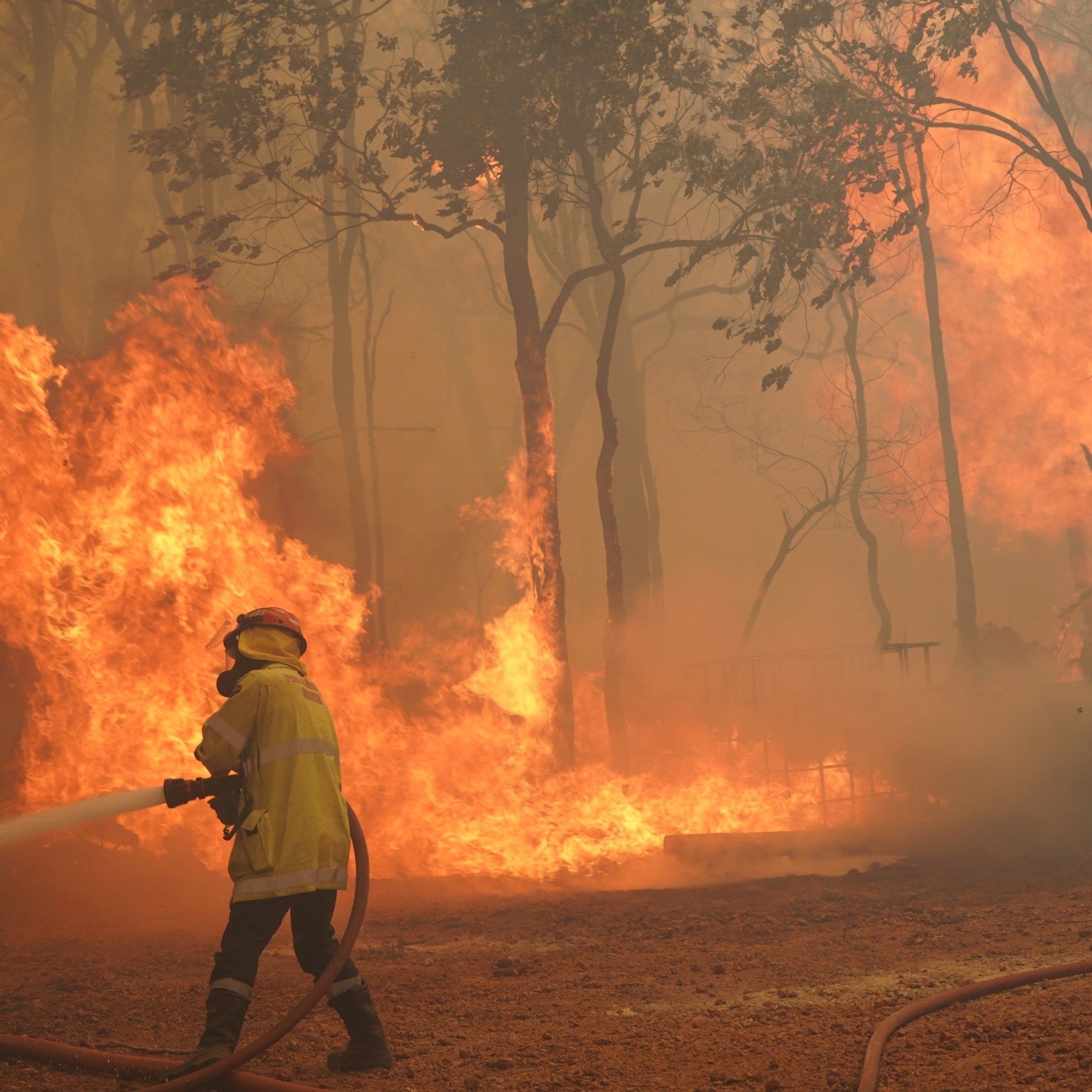 1800x1800 In Picture: 'Out Of Control' Bushfire Burns Homes In Australia