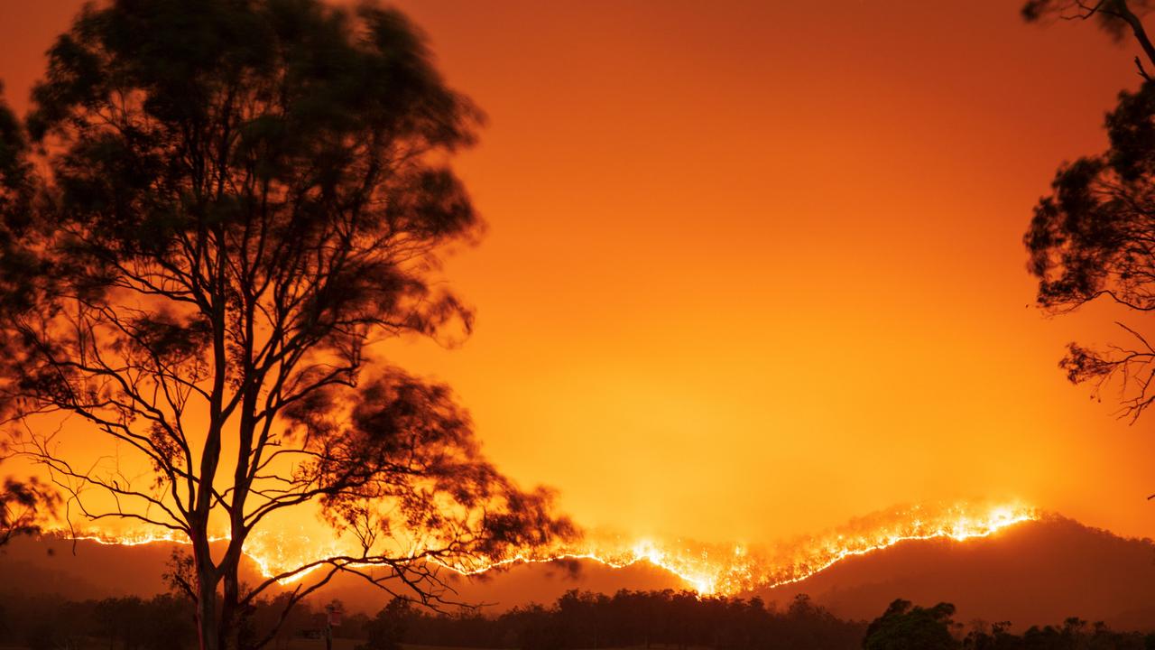 1280x720 Black summer bushfires: Striking bushfire image now on display across the Macleay Valley