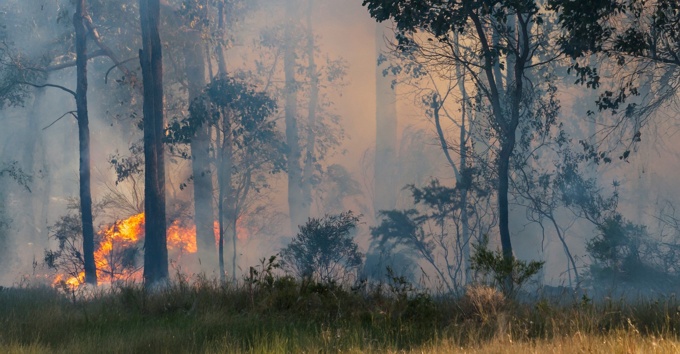 2880x1500 Bushfire Map Spotlight: Grampians Fire, Victoria, Australia