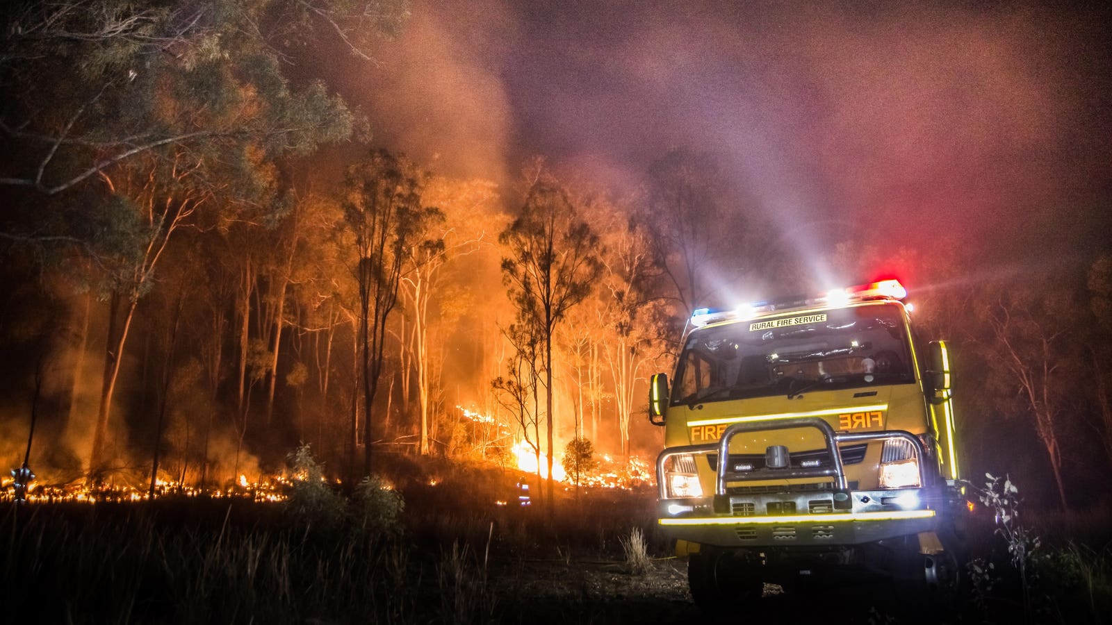 1600x900 How Will The Australian Bushfires Impact The Ocean? Here's What We Know