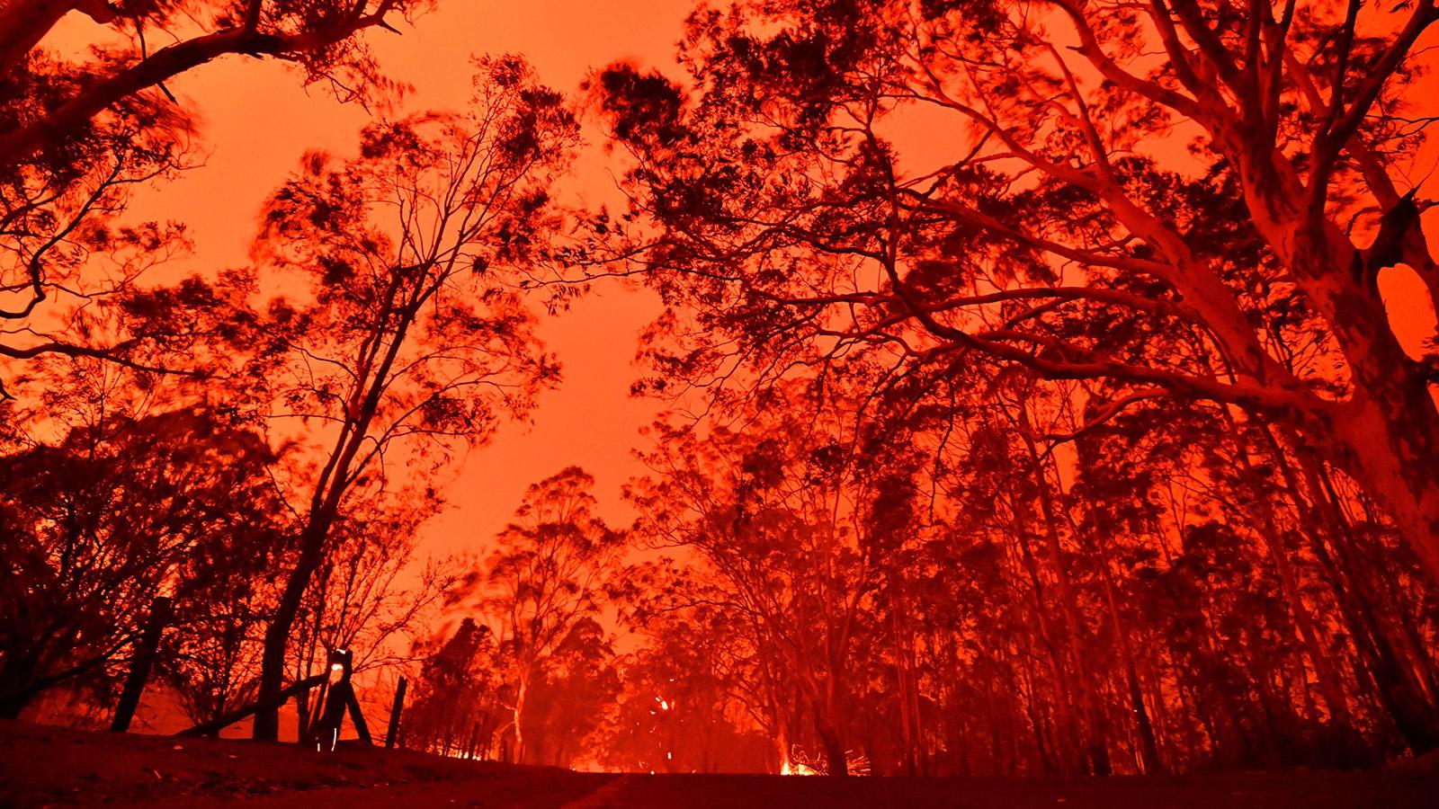 1600x900 Red sky, flying embers: Australia's fires are the first climate disaster of the decade