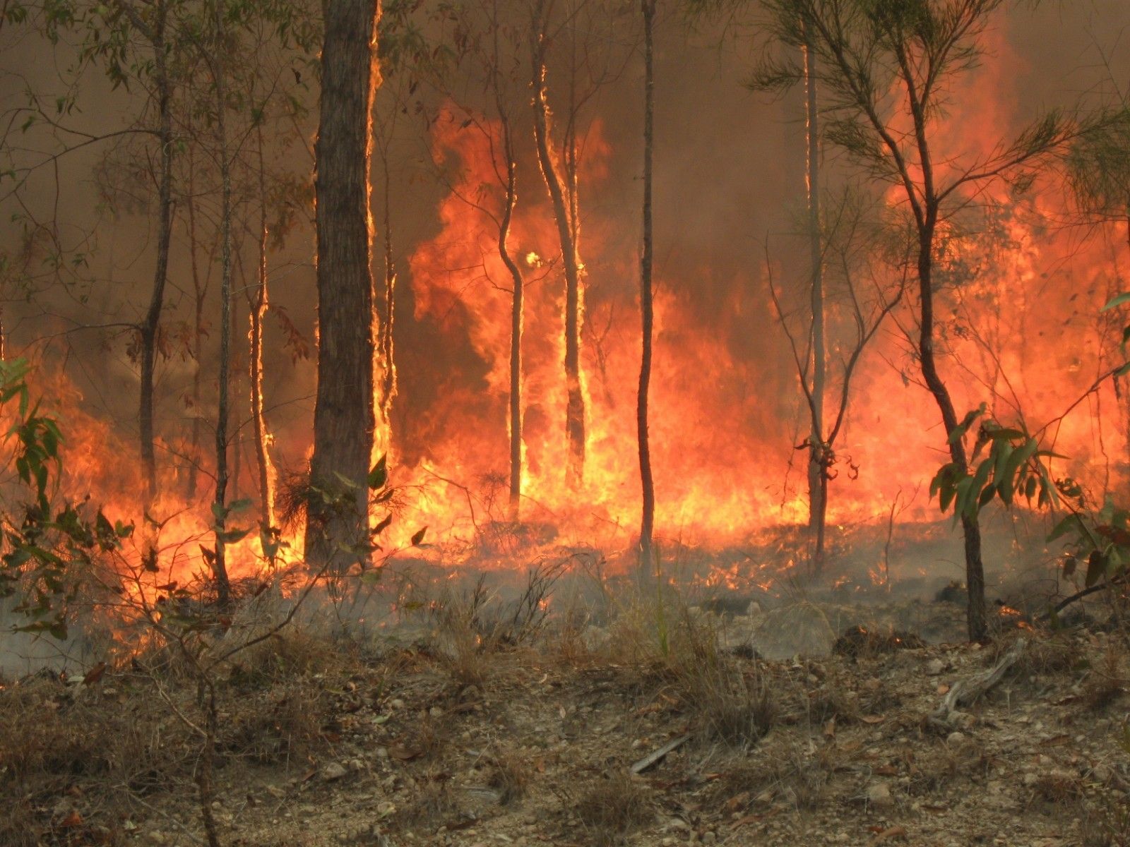 1600x1200 HotSpots H2O: Bushfires Raze Parts of Eastern Australia as Government Quarrels over Climate Change of Blue