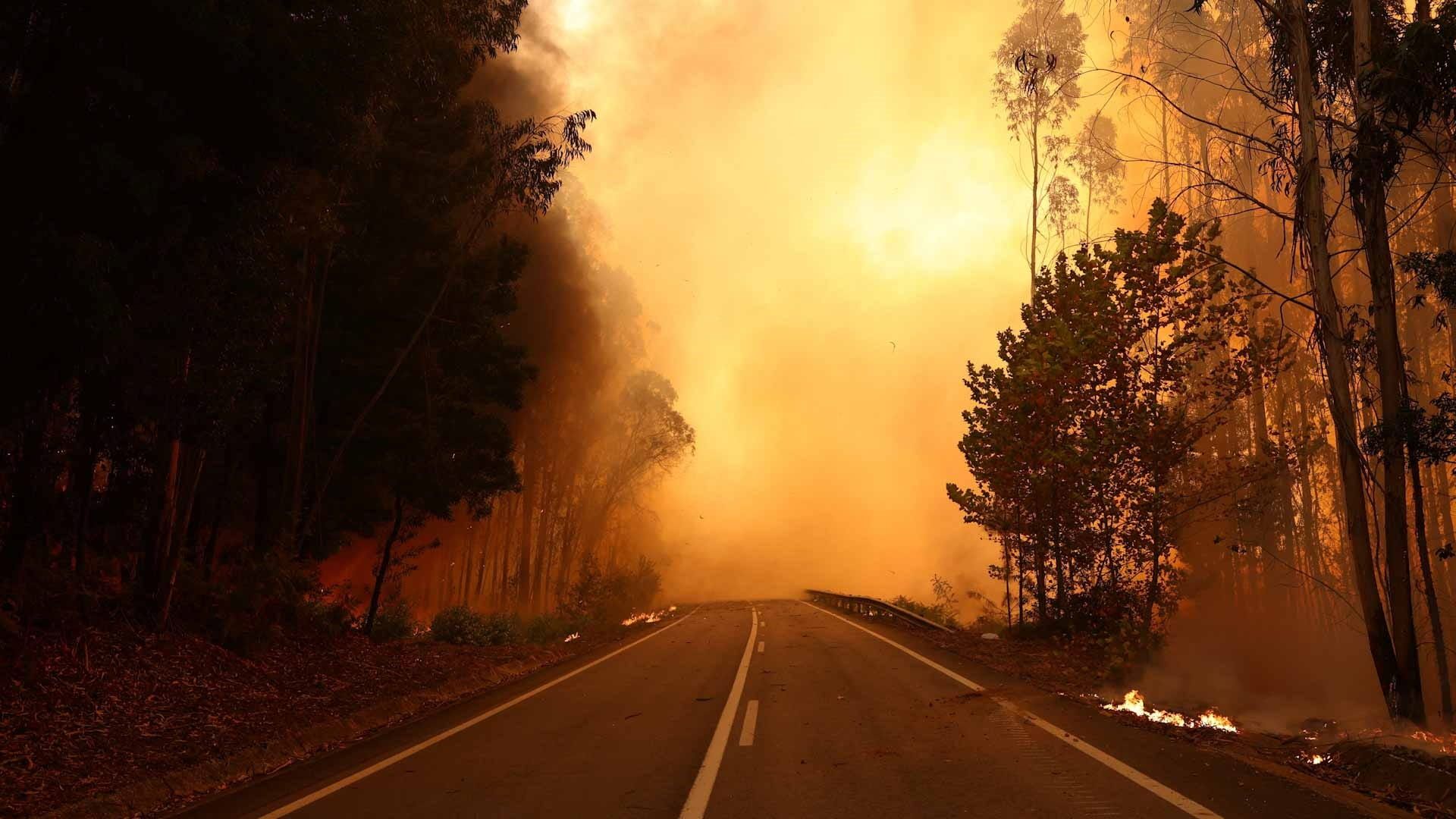 1920x1080 Southeast Australia endures heatwave, faces bushfire risk