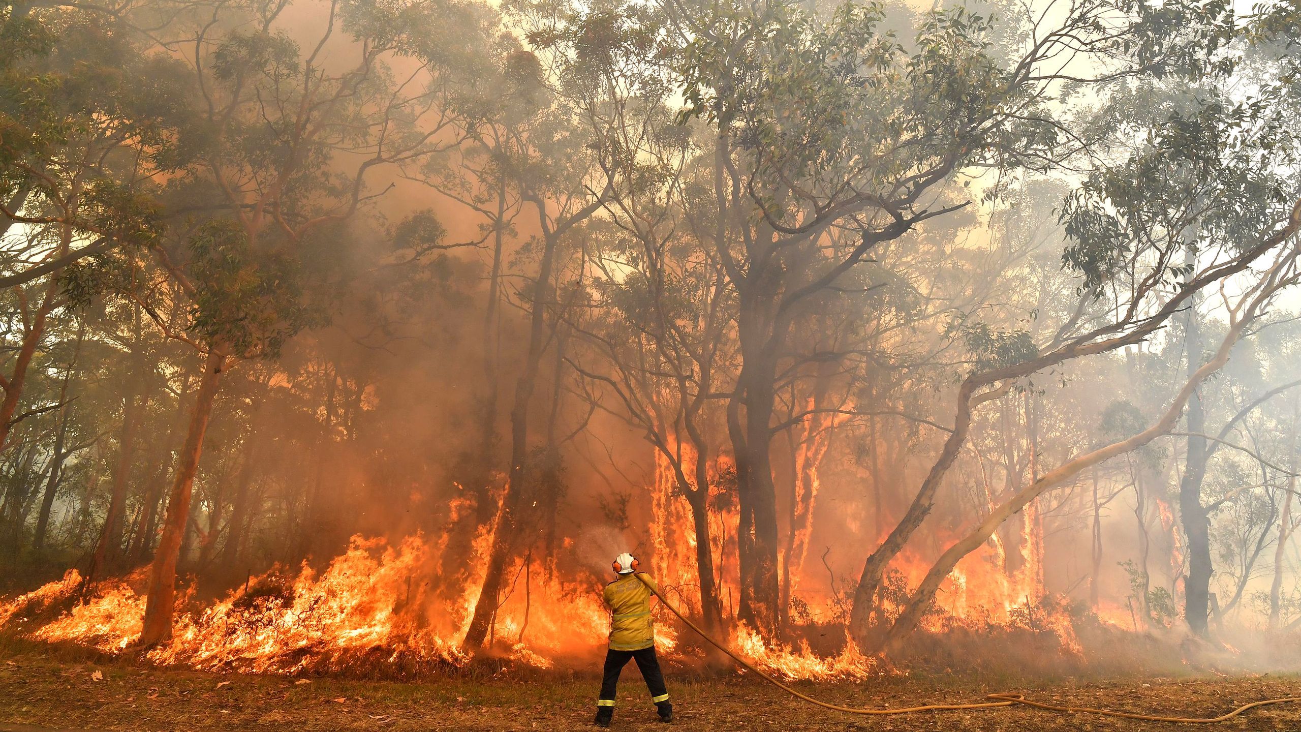 2560x1440 What You Can Do to Help During the Australia Bushfires. Condé Nast Traveler