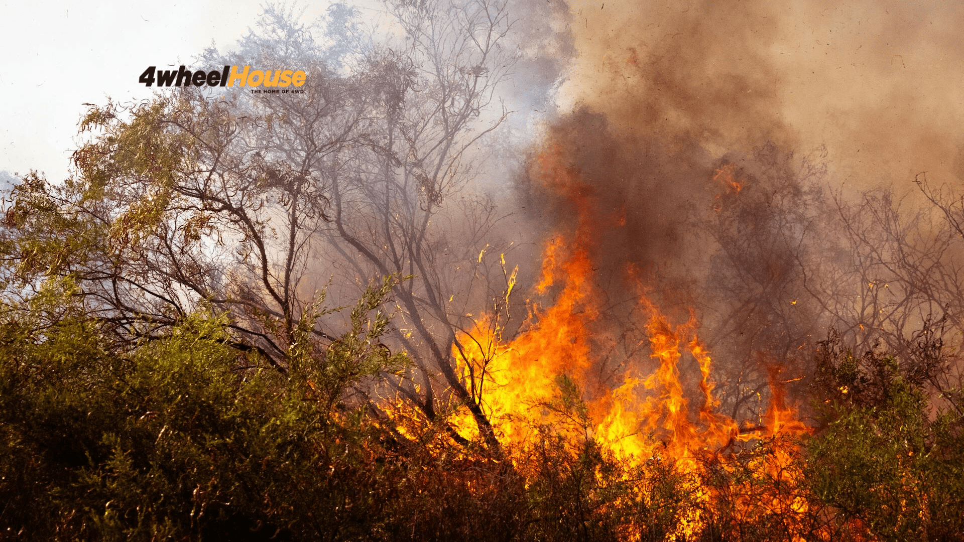 1920x1080 Tips for Preventing Bushfireswheelhousewheelhouse