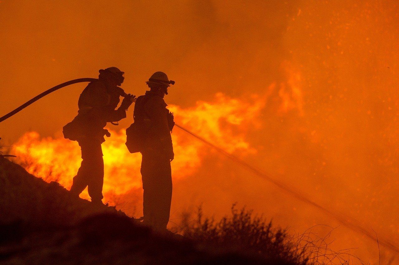 1280x852 Safeguarding Animals During Bushfires