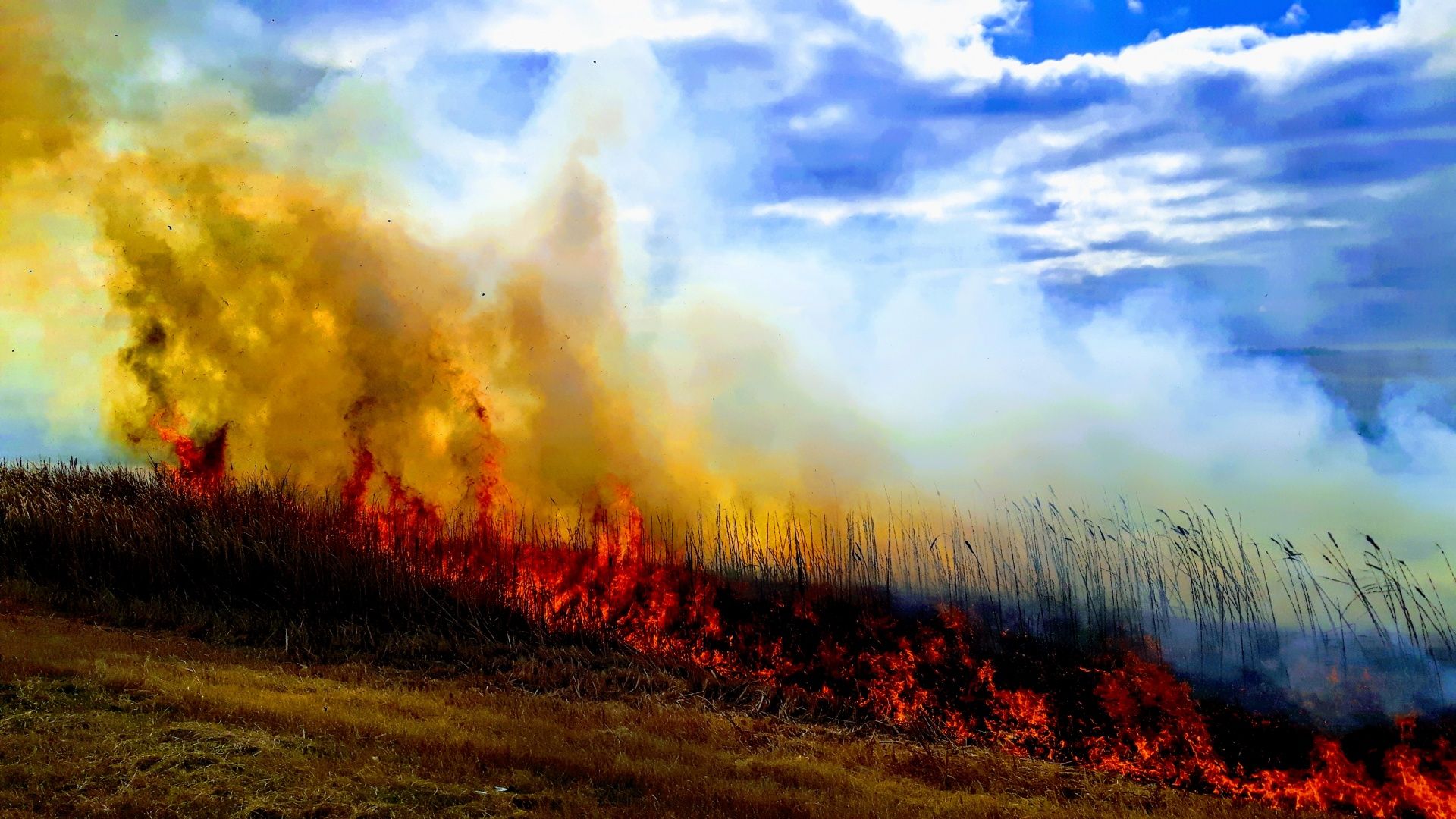 1920x1080 Download free photo of Fire, field, bushfire, agriculture, smoke