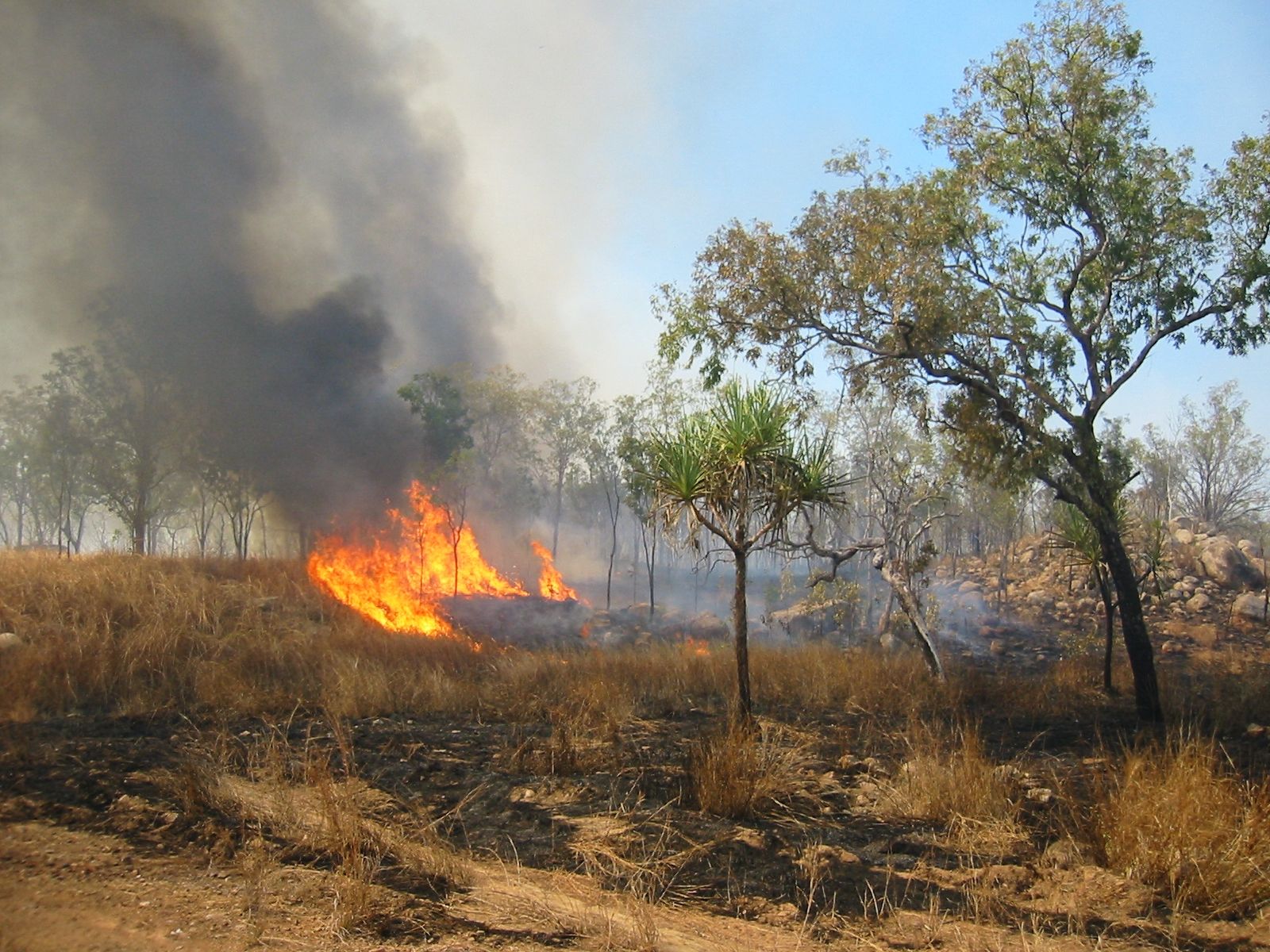 1600x1200 Bushfire