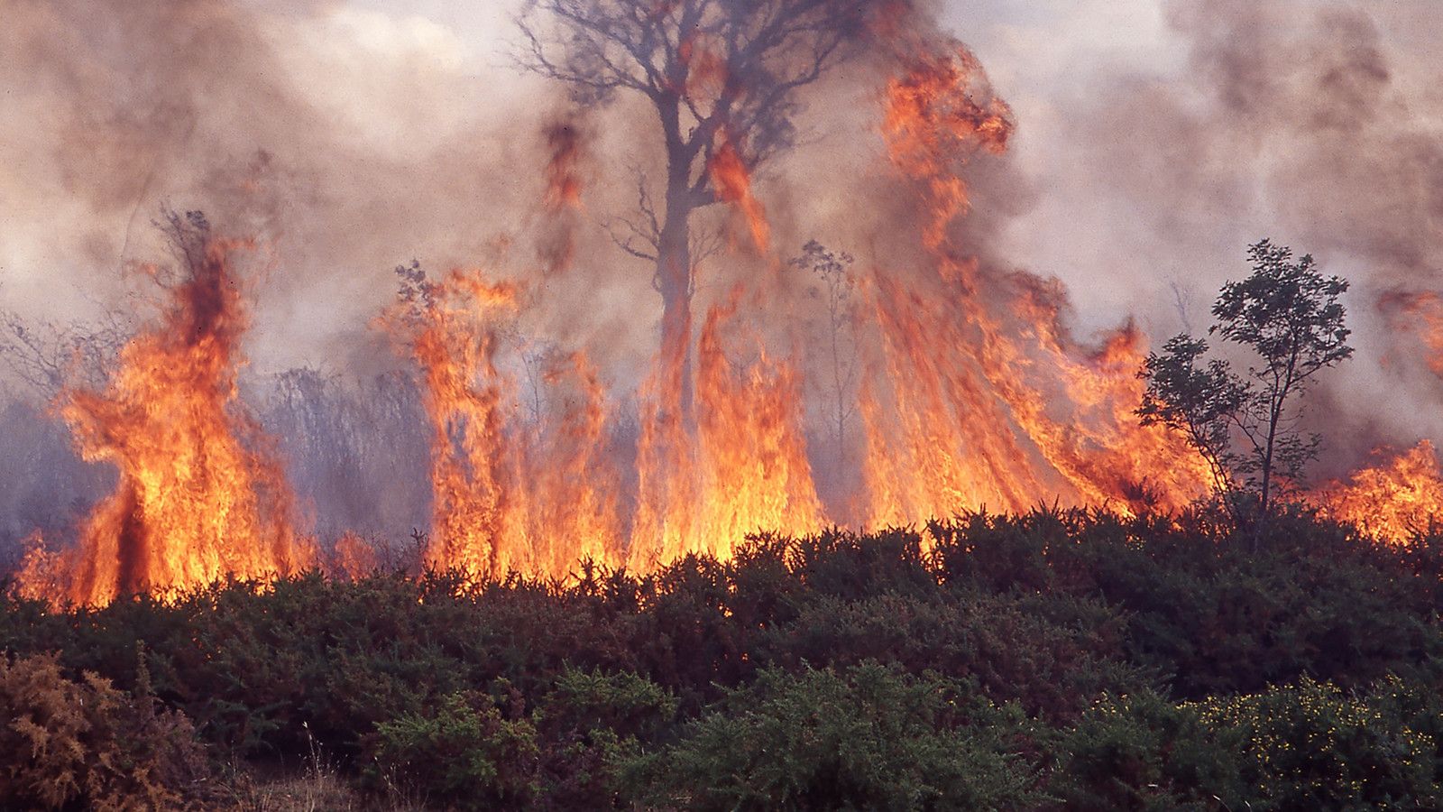 1600x900 Globally Popular Overland Walking Track in Tasmania National Park Evacuated and Closed Due to Intense and Rapidly Growing Bushfires