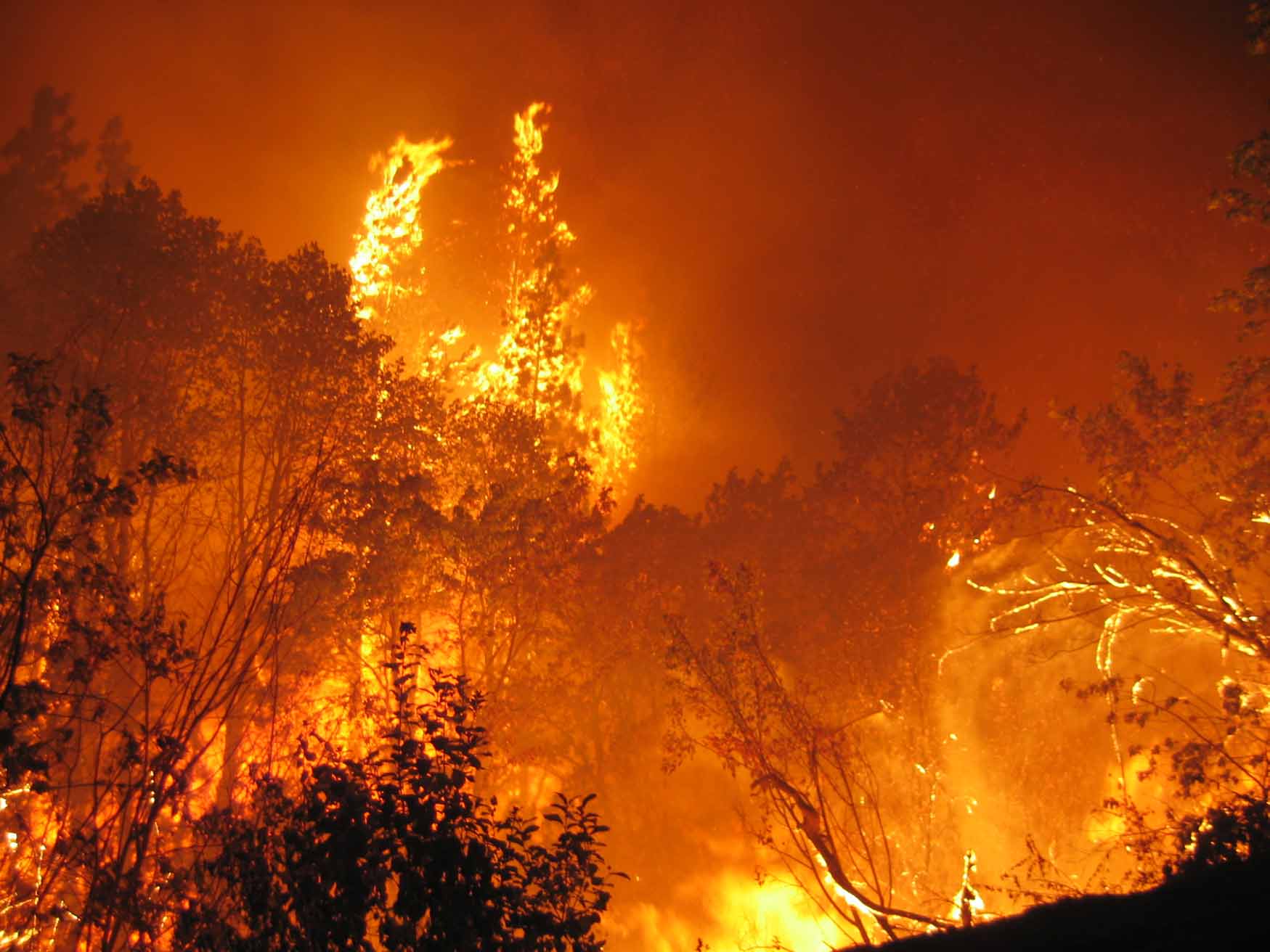 1749x1312 Bushfire Wallpaper