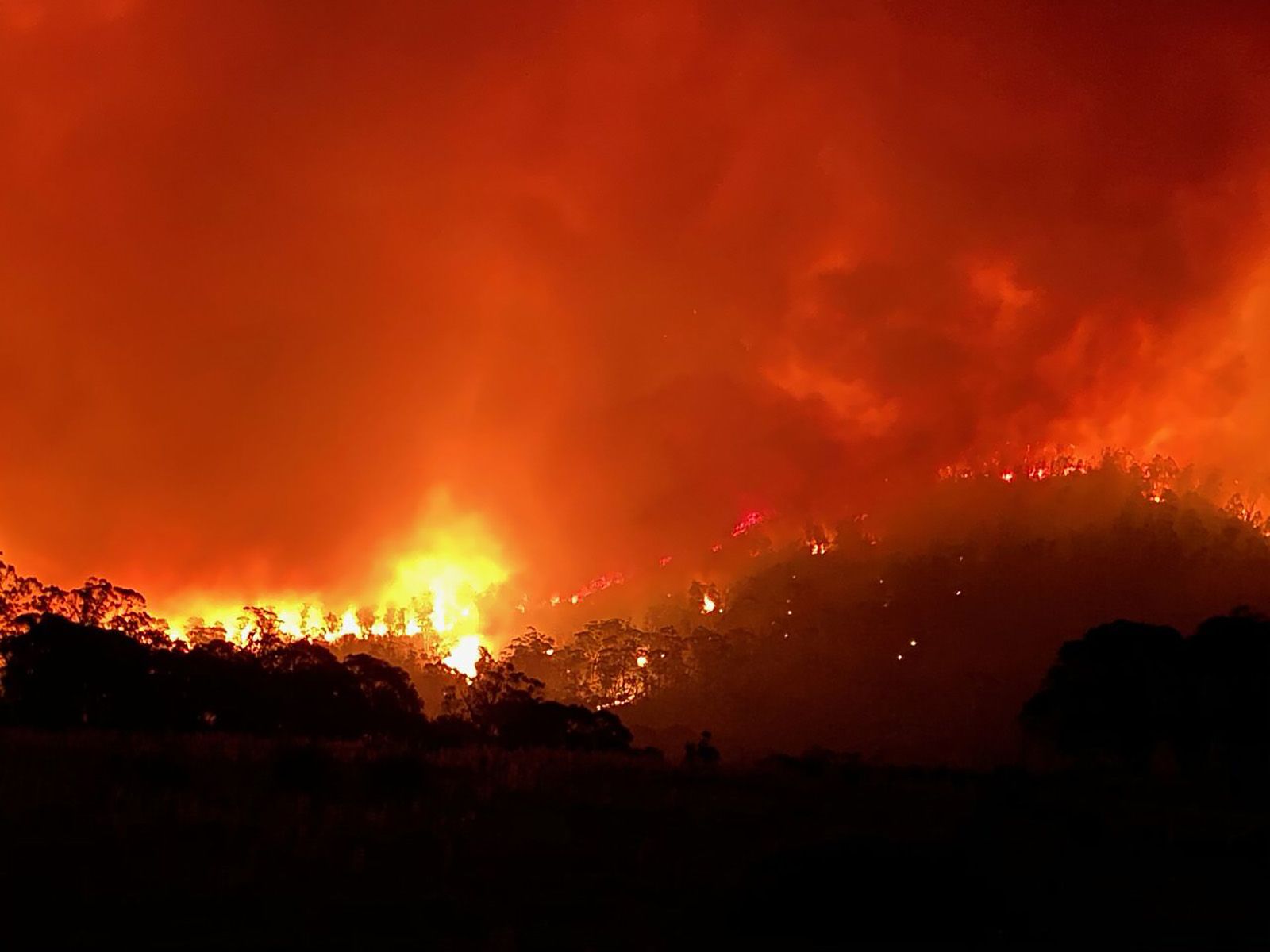 1600x1200 Last resort a bushfire